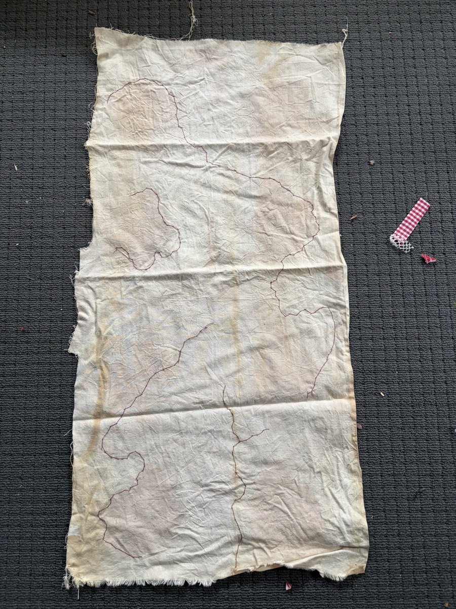 Maddie Smith | circumnavigating