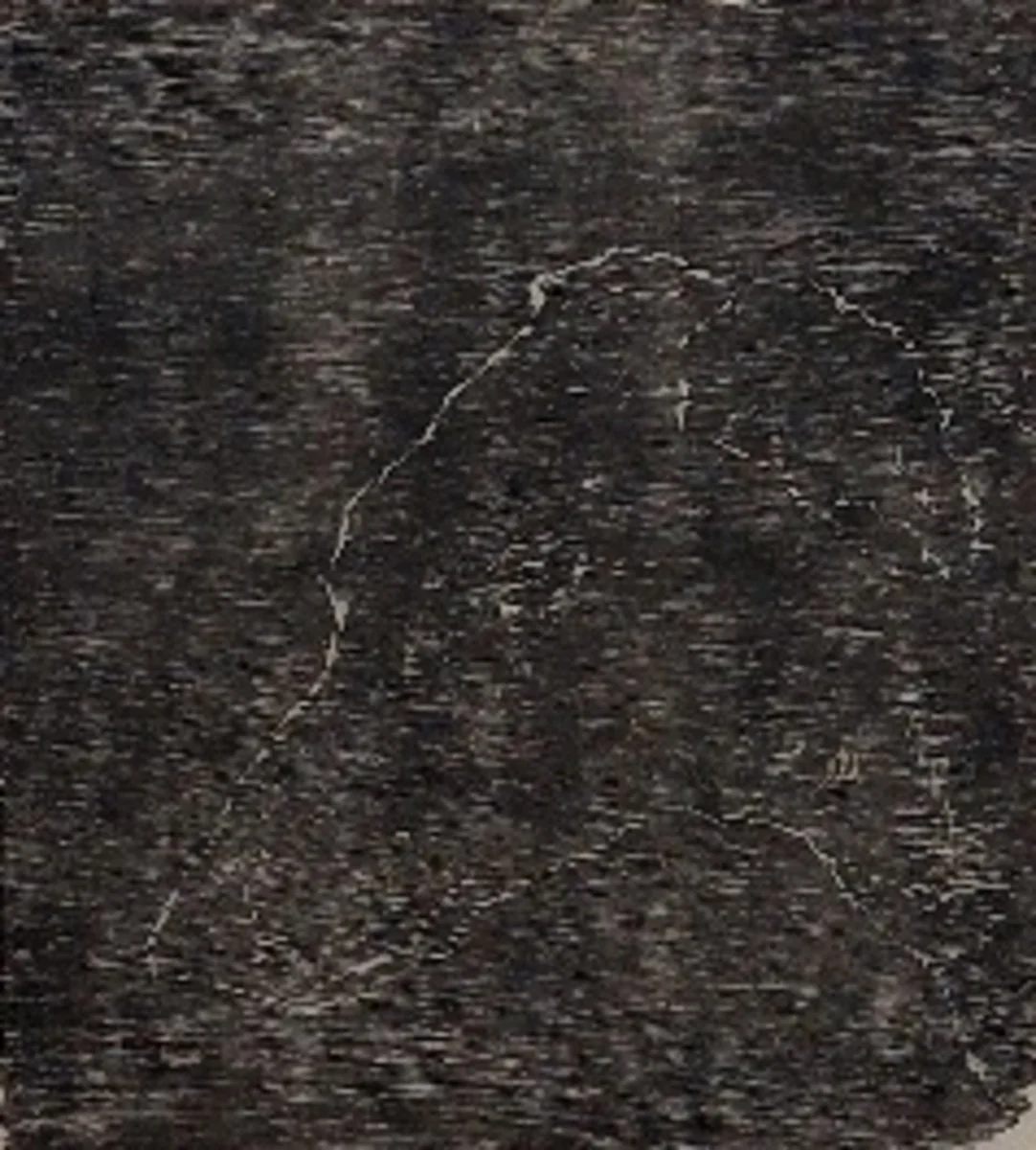 Jandy Paramanathan | Greyhound