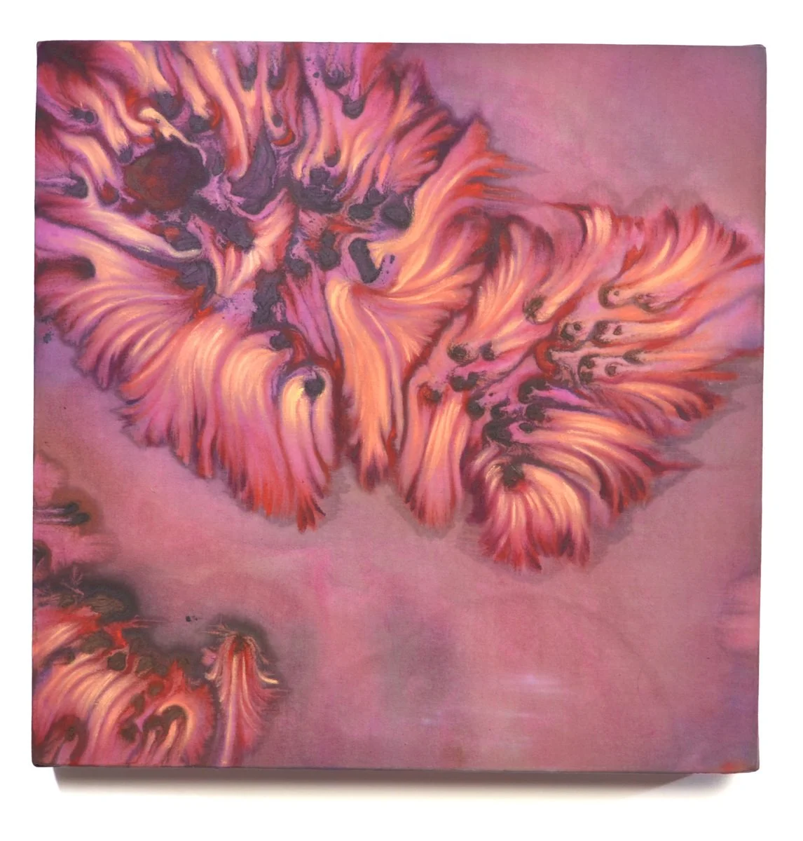 Bonnie-Jean Whitlock toxic bloom.jpg