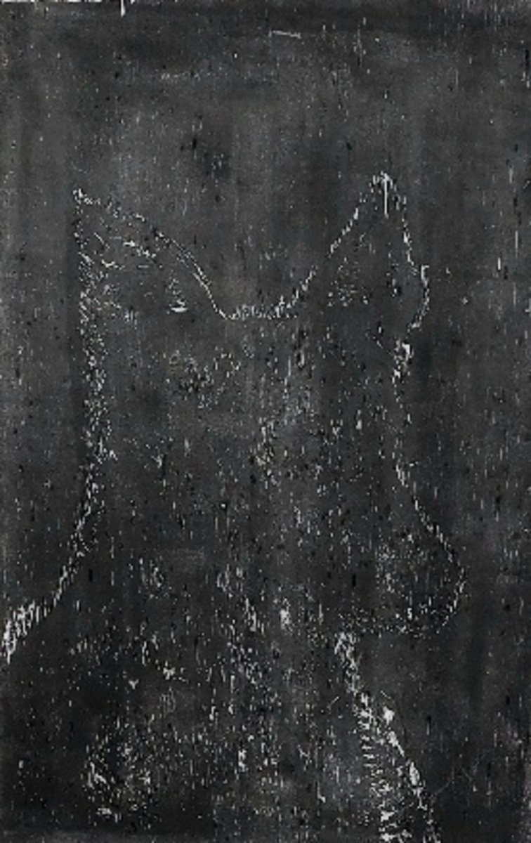 Jandy Paramanathan | German Shepherd Blue Heeler Cross