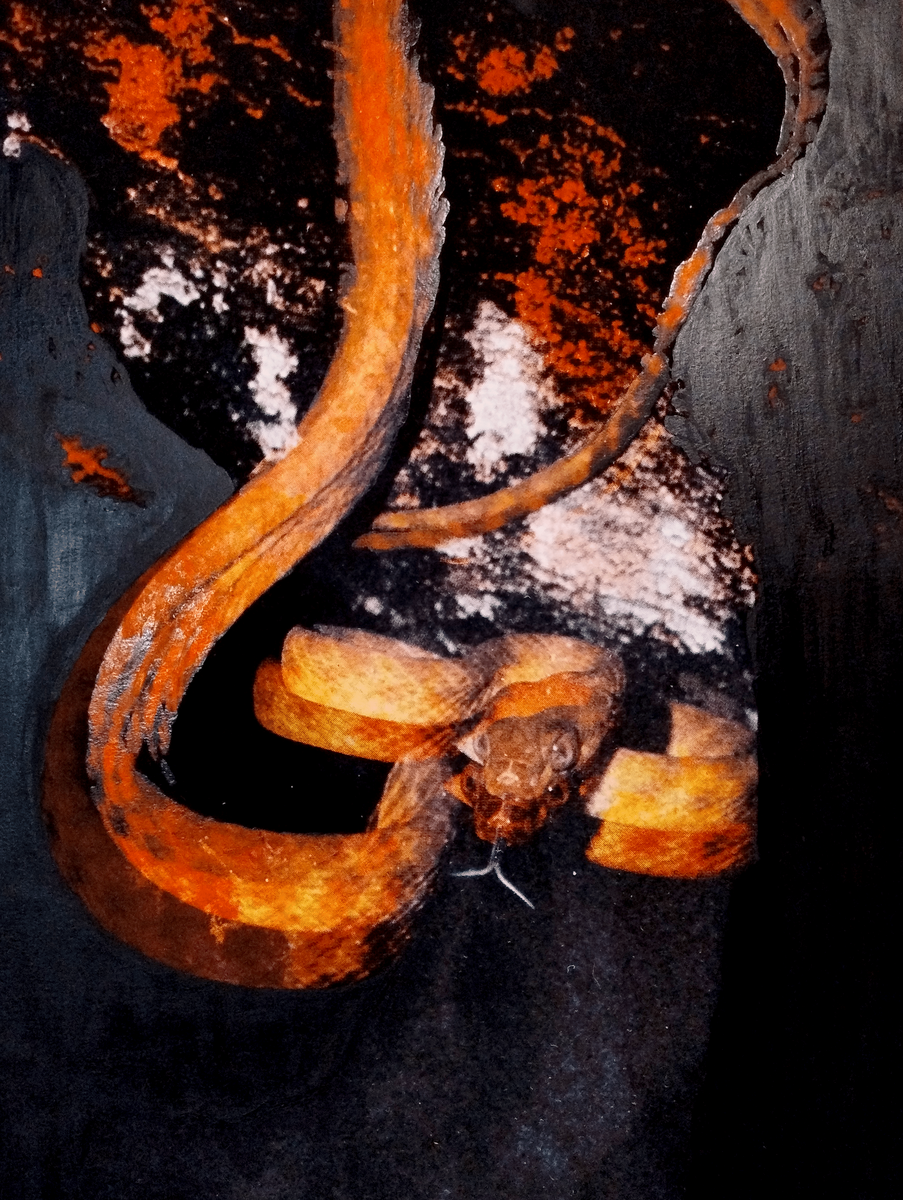 Wirra Vial From Pleasure and Rot.png