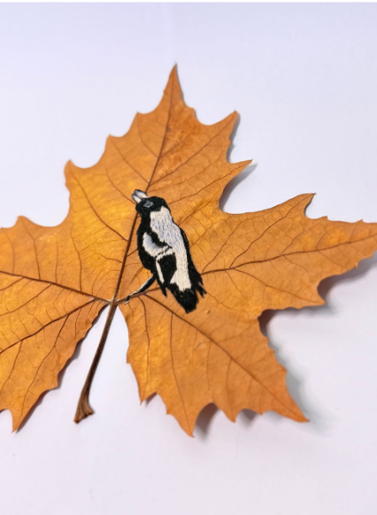 Ruby-Ngoc Nguyen Magpie warbler.png