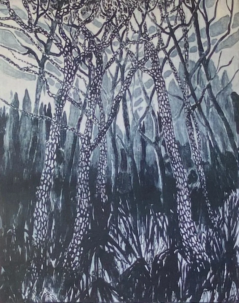 Robyn Blaikie Towering canopy.jpg