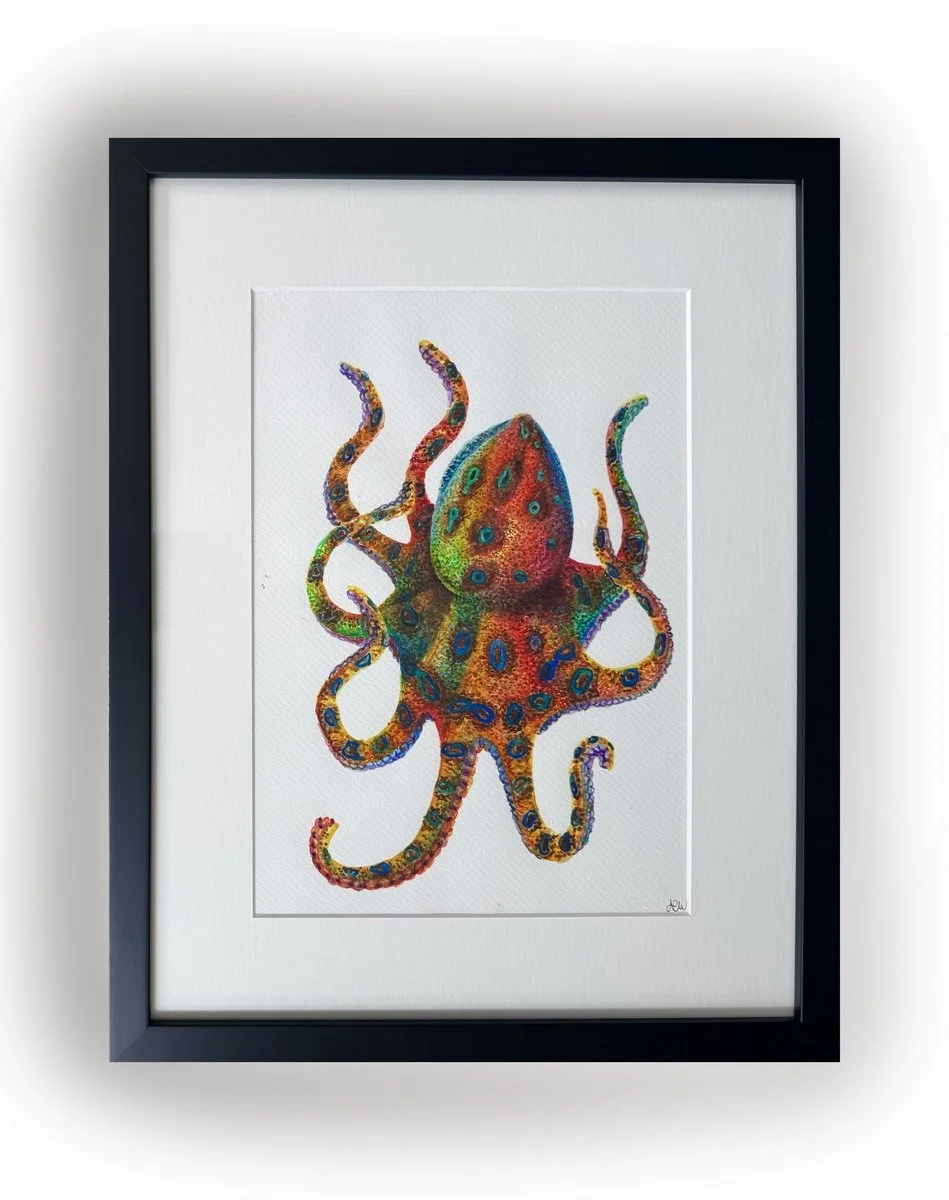 Alycia Page Wilson | Blue Ringed Octopus