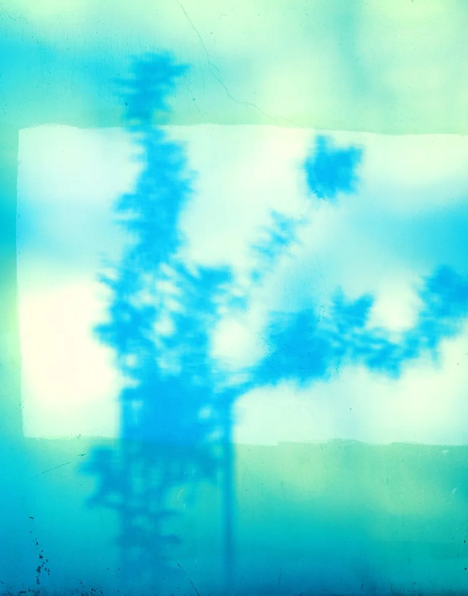 Matt Ware | Shades of Green