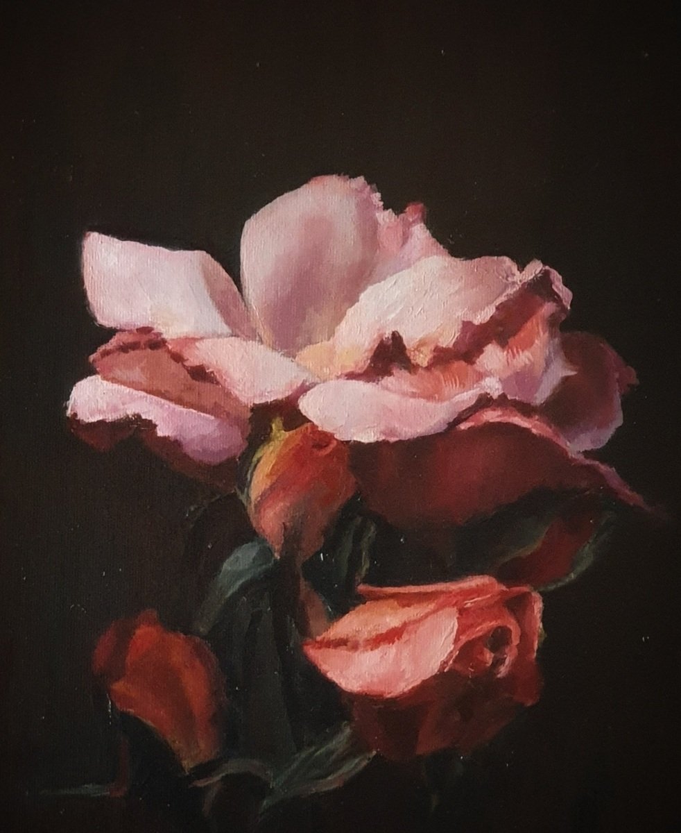 Francesca Goldspring | Summers last rose