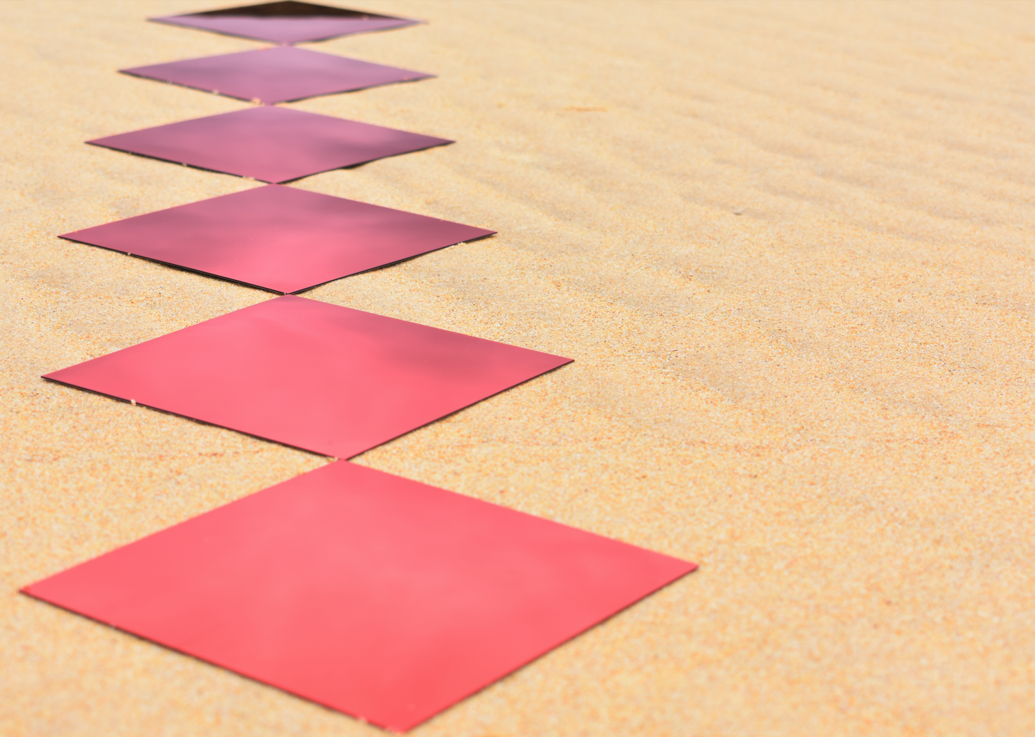 Branka Uljarevic | Red Plane