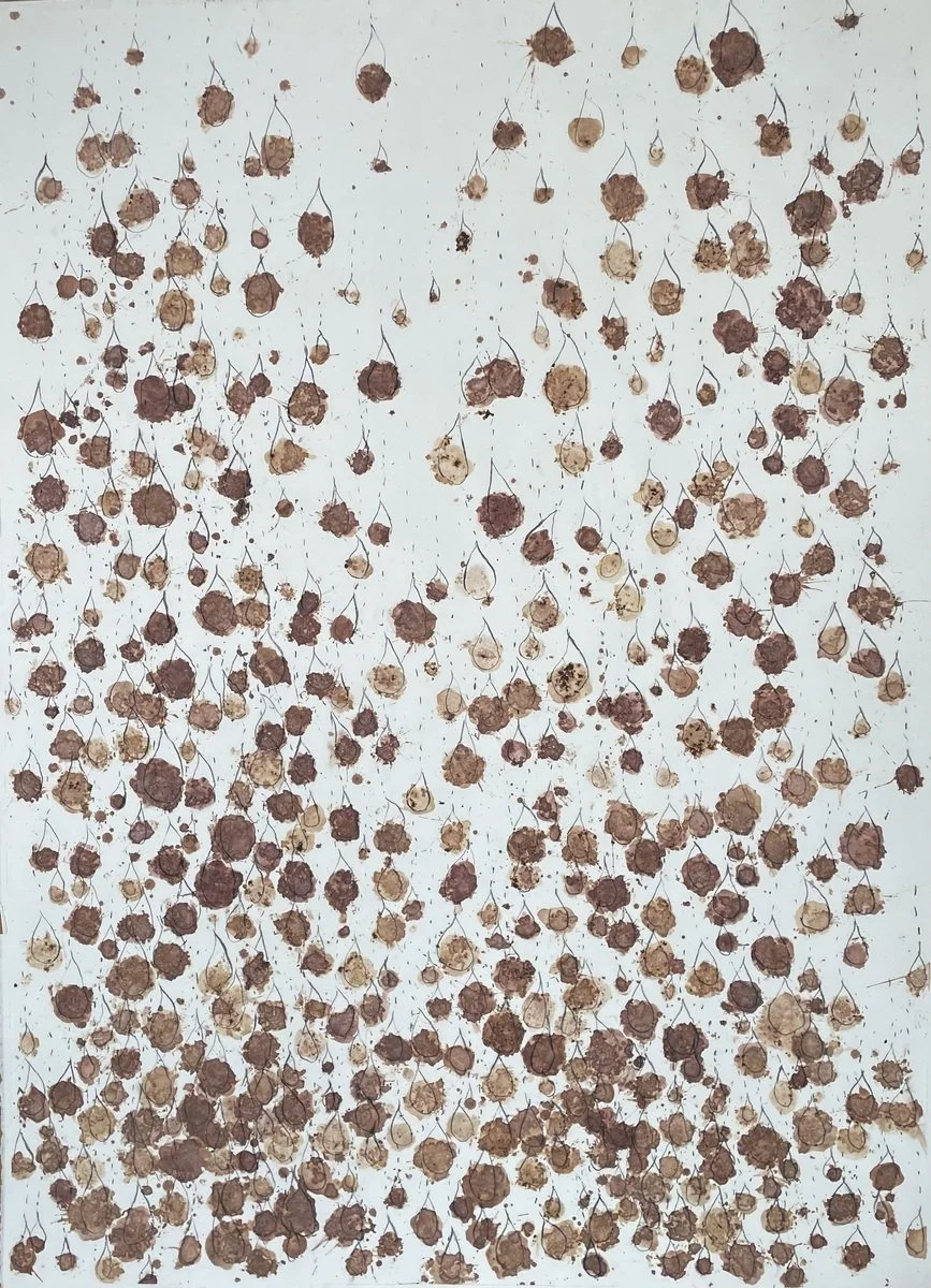 Shayne O'Donnell | Mulberry Tears