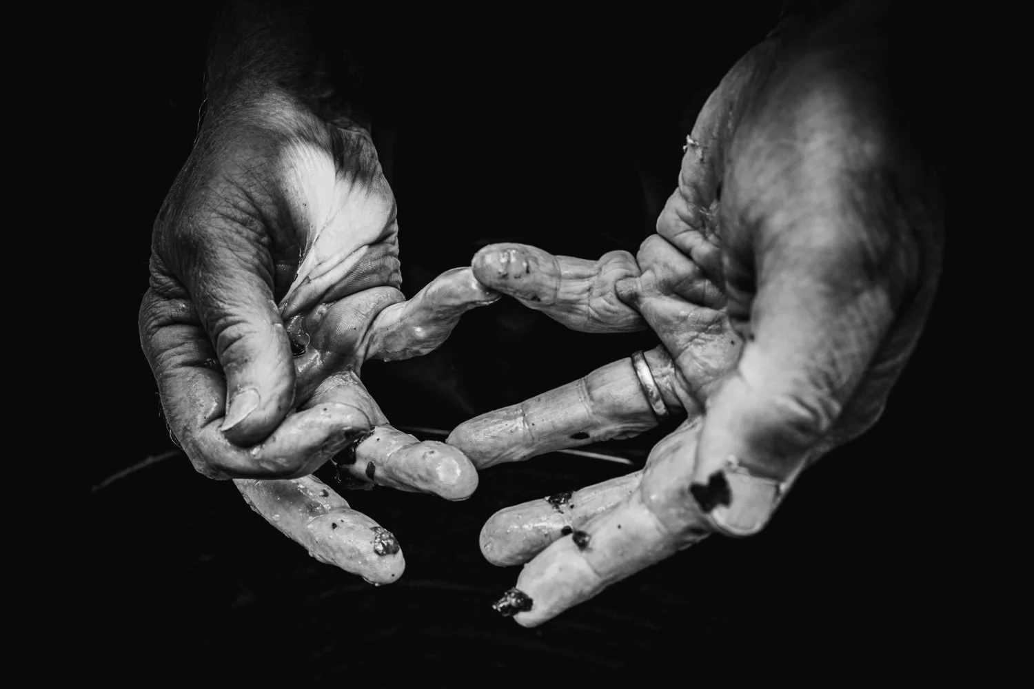 Diane Morgan | Mentor #1