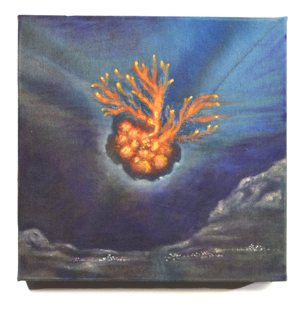 Bonnie-Jean Whitlock Meteor 3.jpg