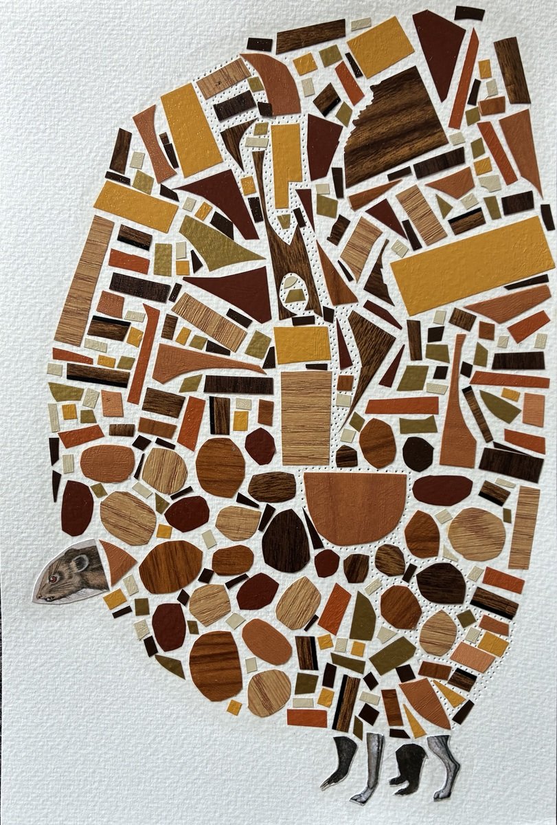 Tracy Potts | Separator