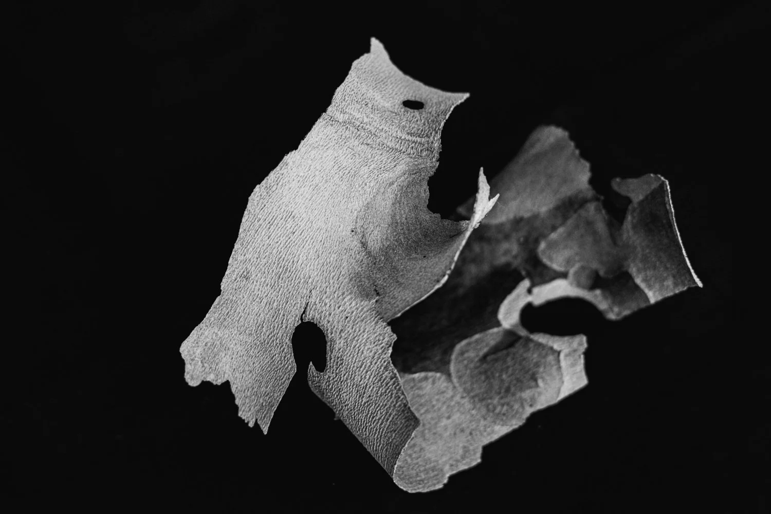 Diane Morgan | Watch