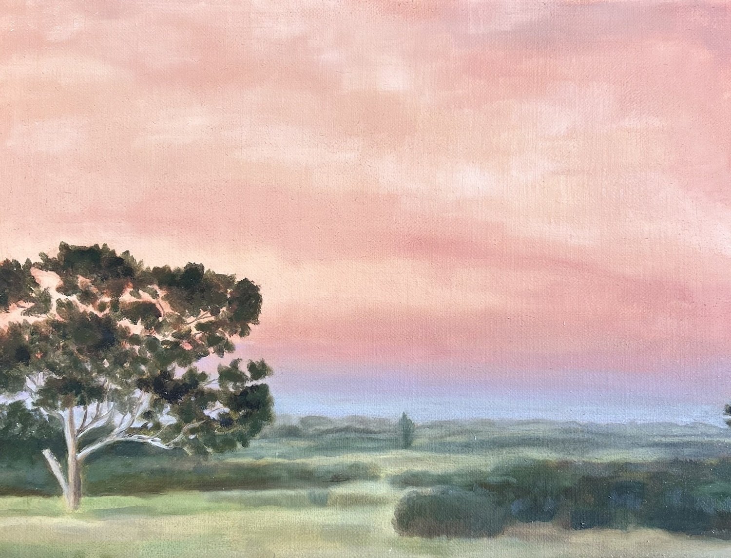 Jennifer Henderson | Summer Morning, Woodend