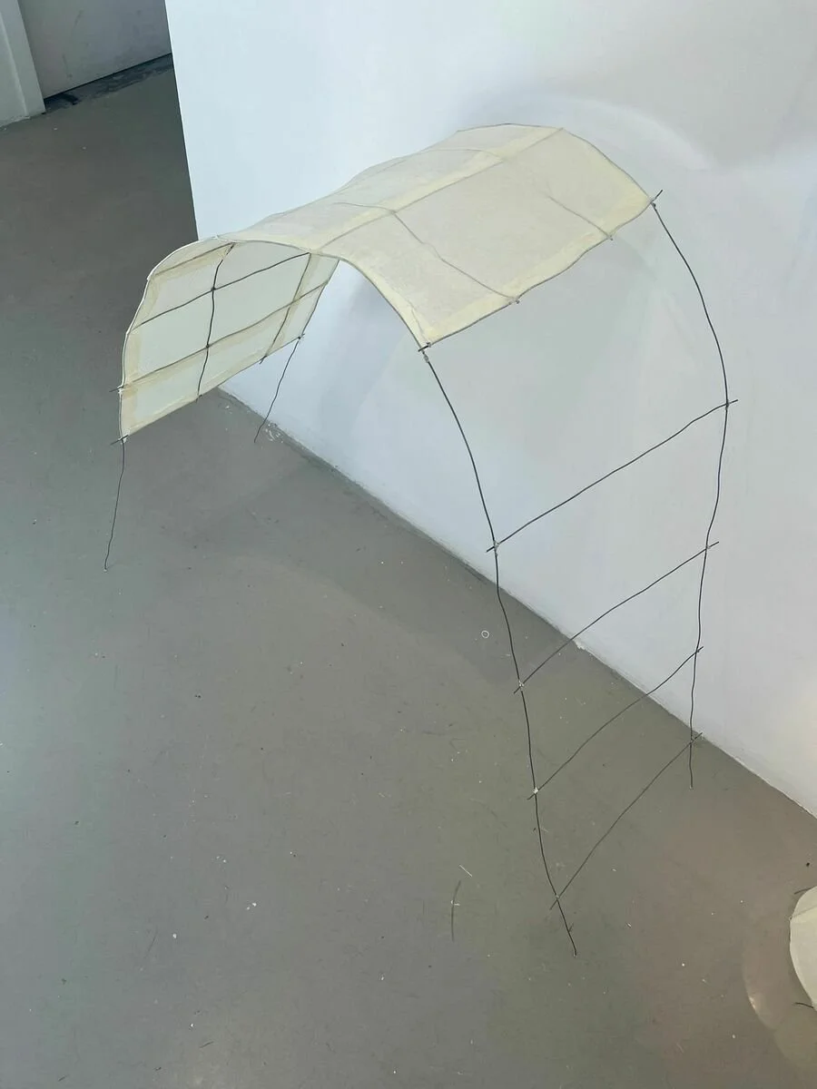 Rubi Taylor Untitled 4.jpeg