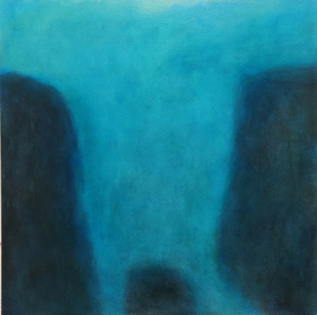 Amanda Schlesinger-Goss | Inside the blue 1