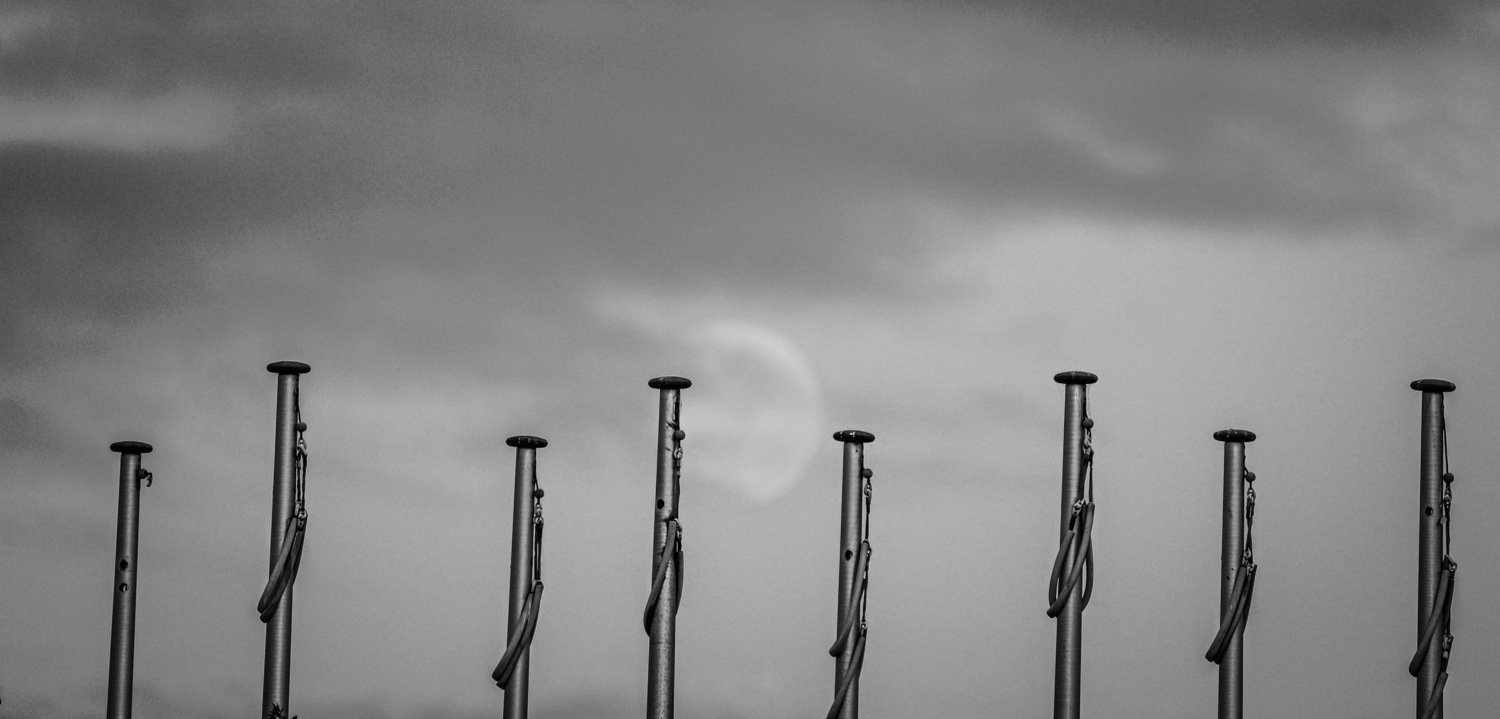 Pranay Lodhiya Fading Echoes.jpeg