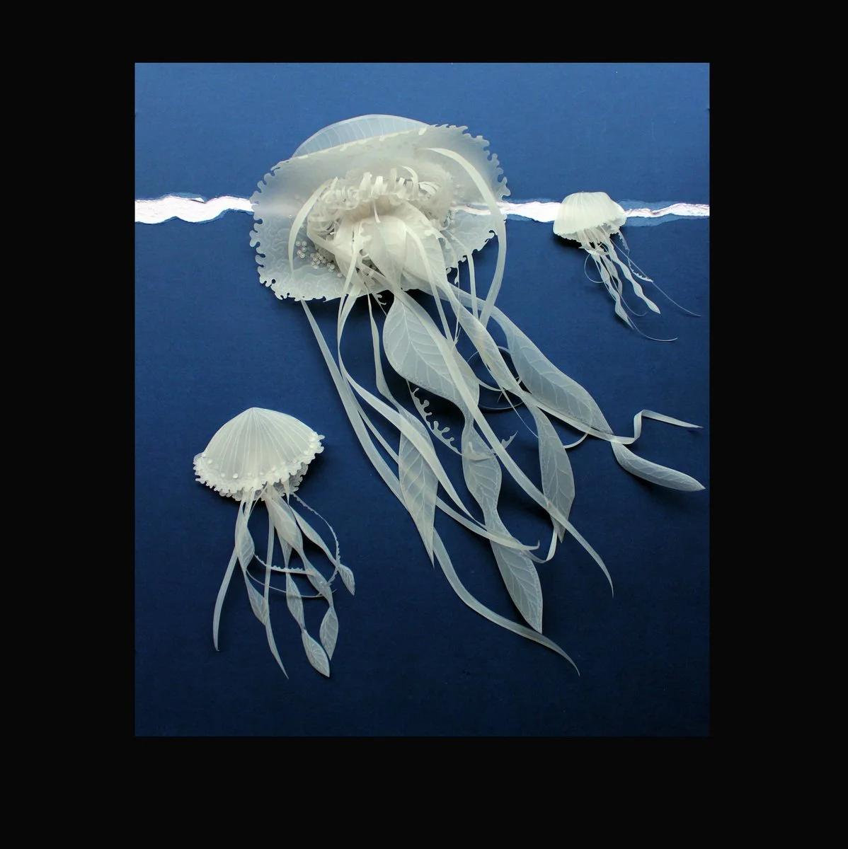 68. Deborah Klein |  Jellyfish