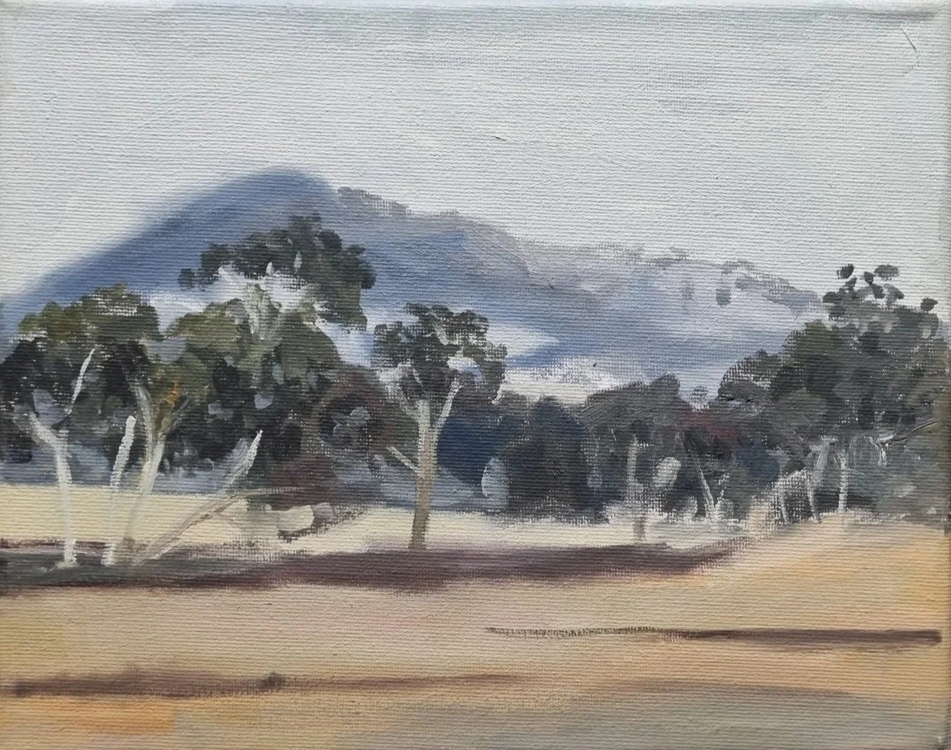 Ron Taylor | Mount Moliagul