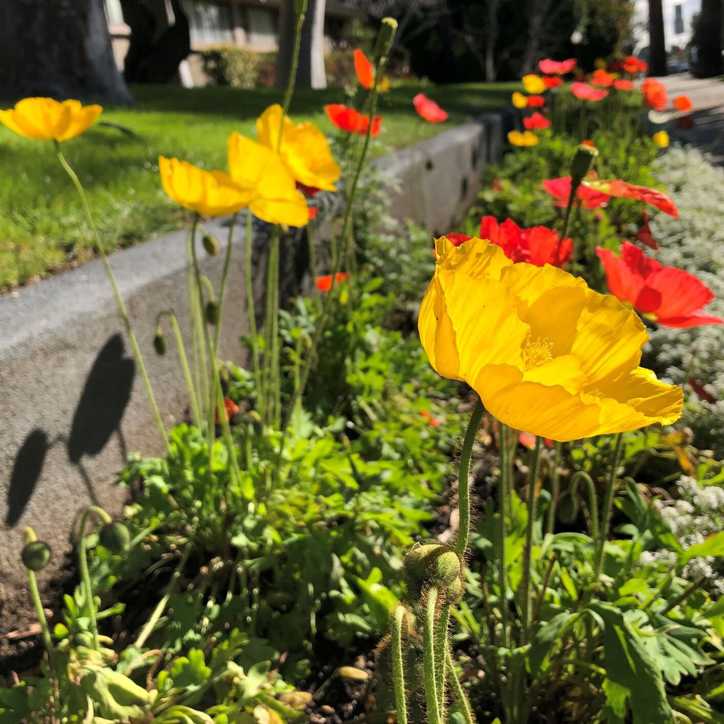 2019-03-04 09.05.15 Square Smaller.jpg