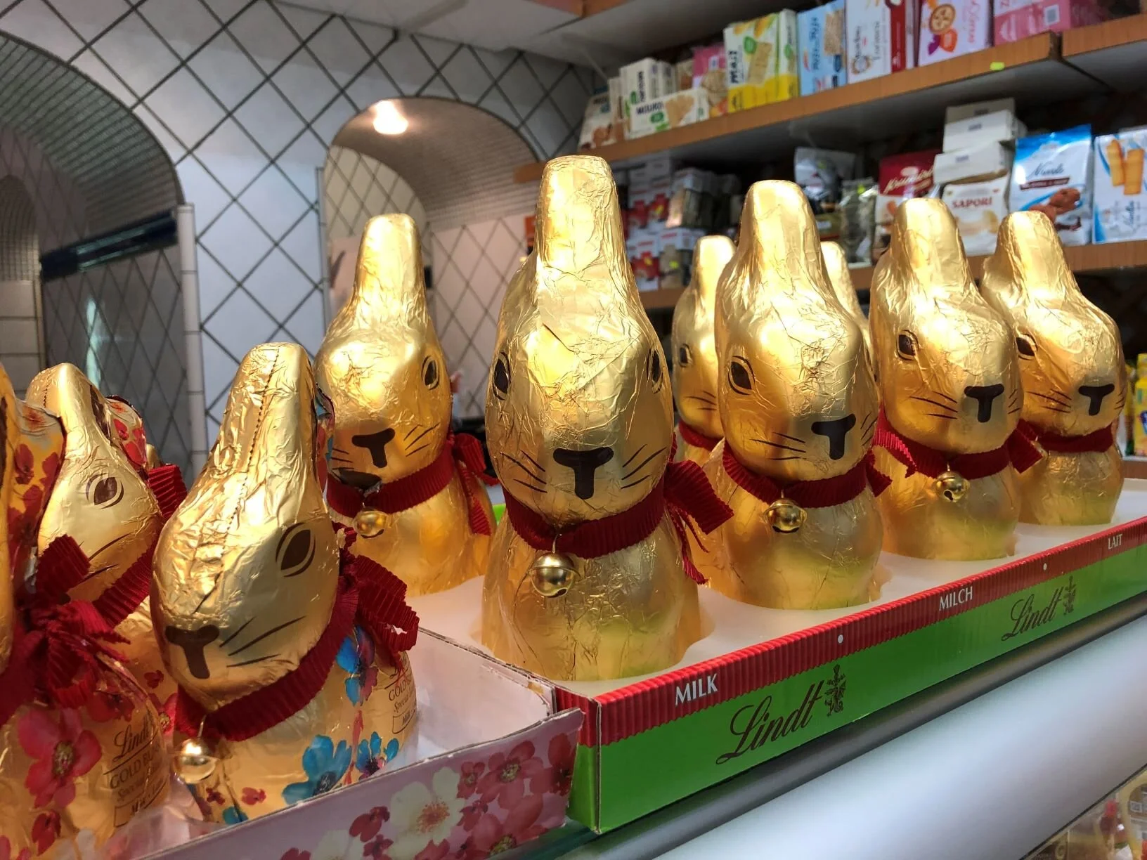 2019-04-06 18.08.43 smaller.jpg