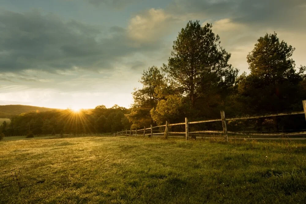 A rural landscape in the Mendips at sunset with a wooden fence, green grass, trees, and a cloudy sky.
