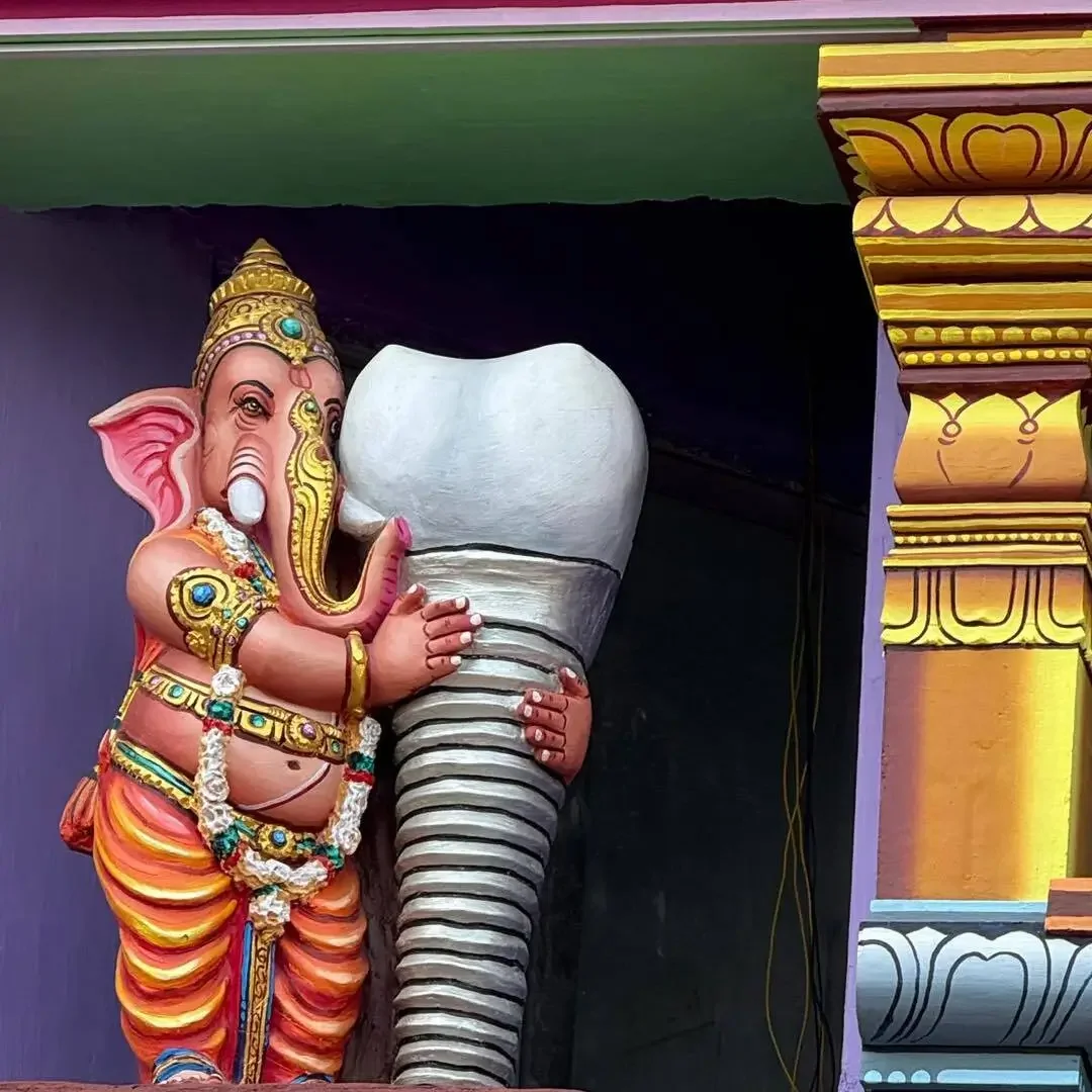 dental shrine 2 university.webp