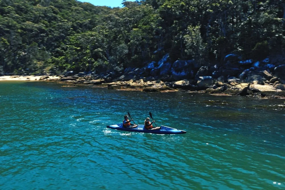 Edge Pro 2 Drone 1.jpg