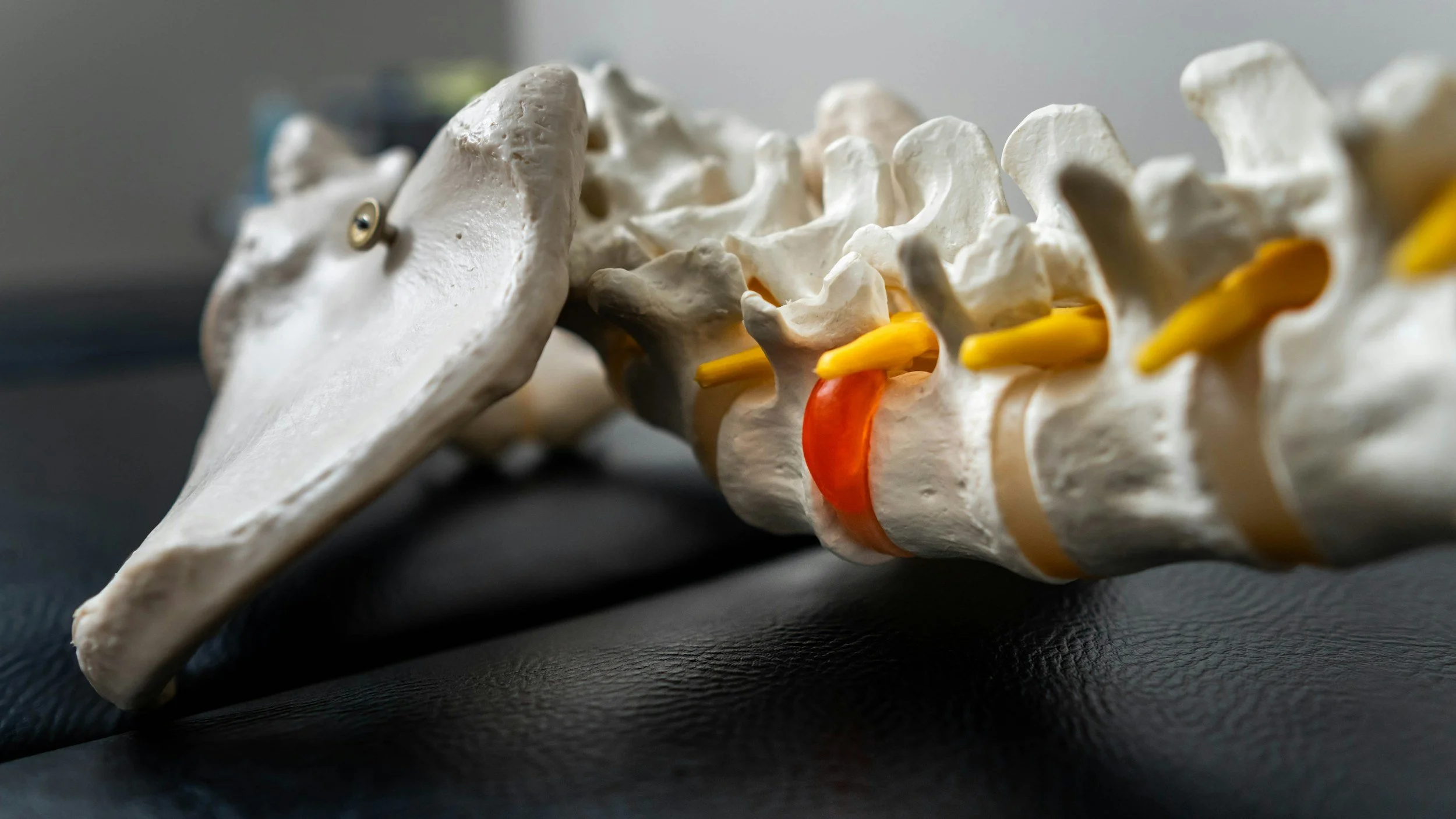 Do I Have a Slipped Disc… or Is It “Just” Back Pain?