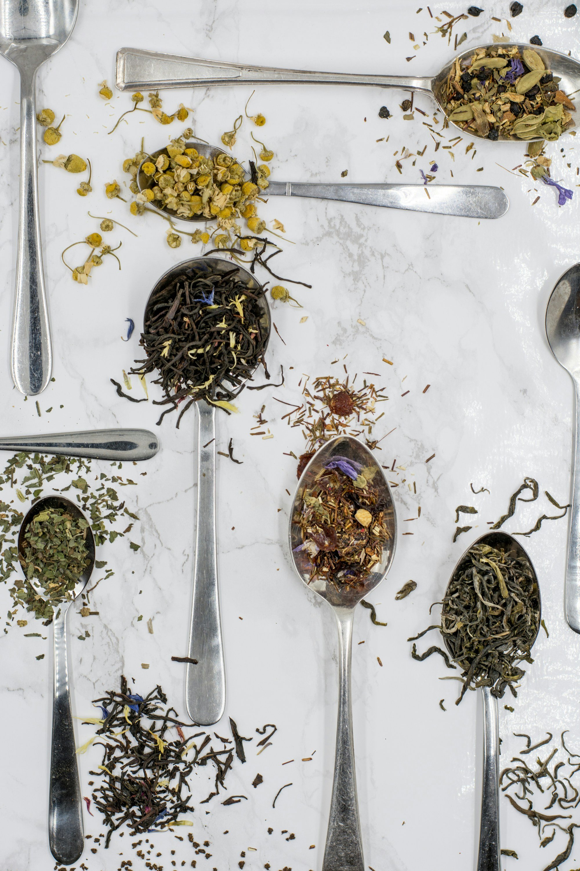 Spoons holding seeds, herbs and dried flowers on white marble counter background to show migranes benefit from natural remedies and nature input.
