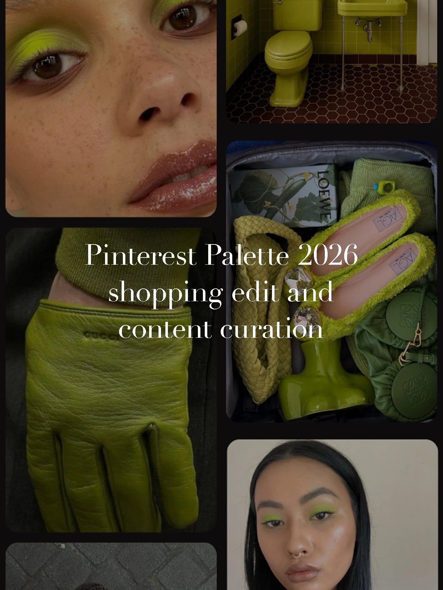 Palette2026.jpg