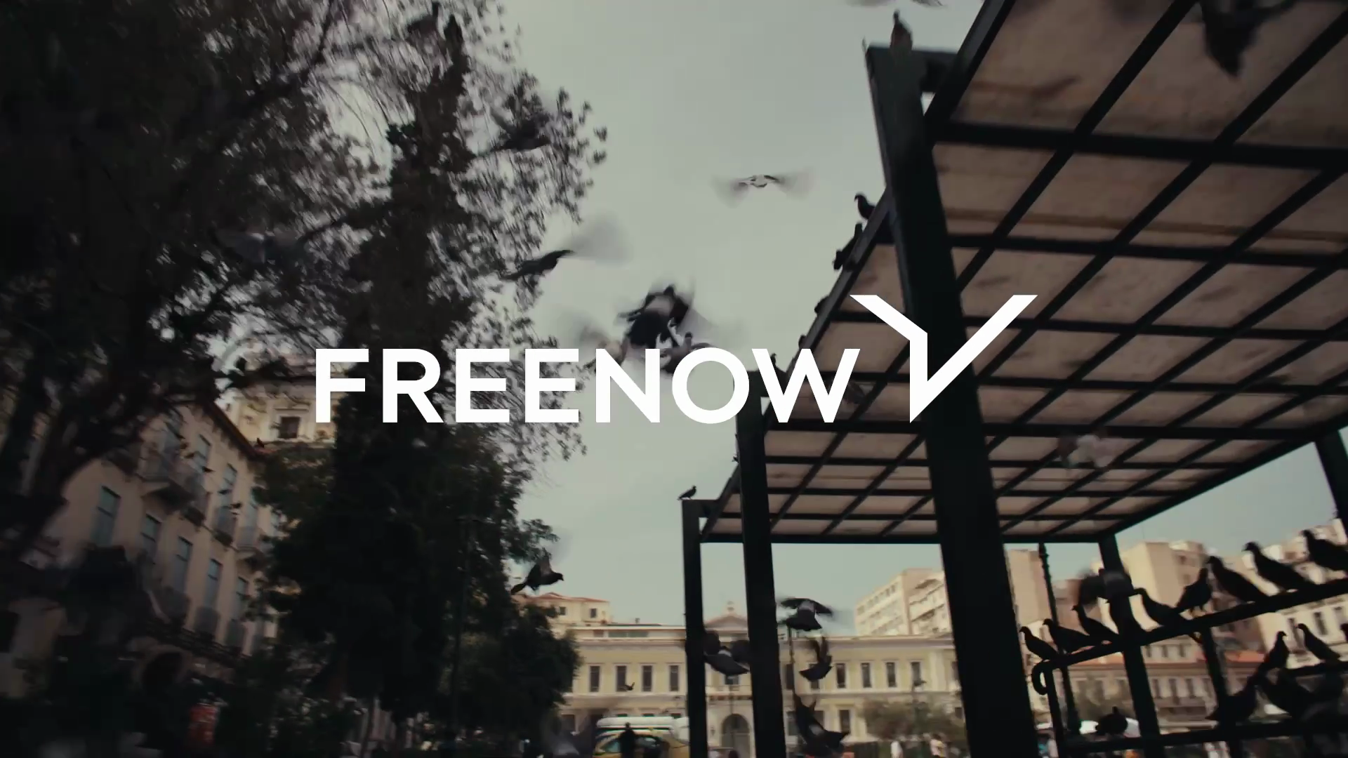 FREENOW.png