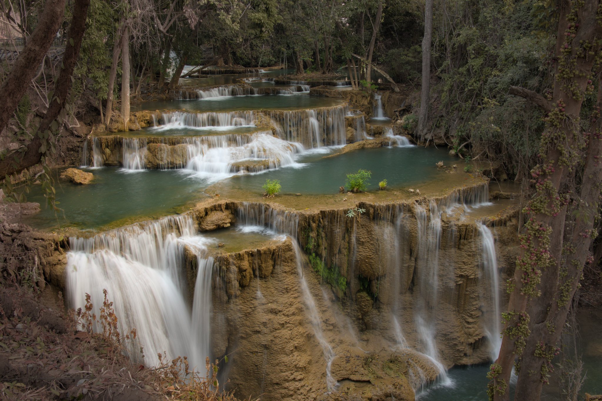 DSC_1445.jpg