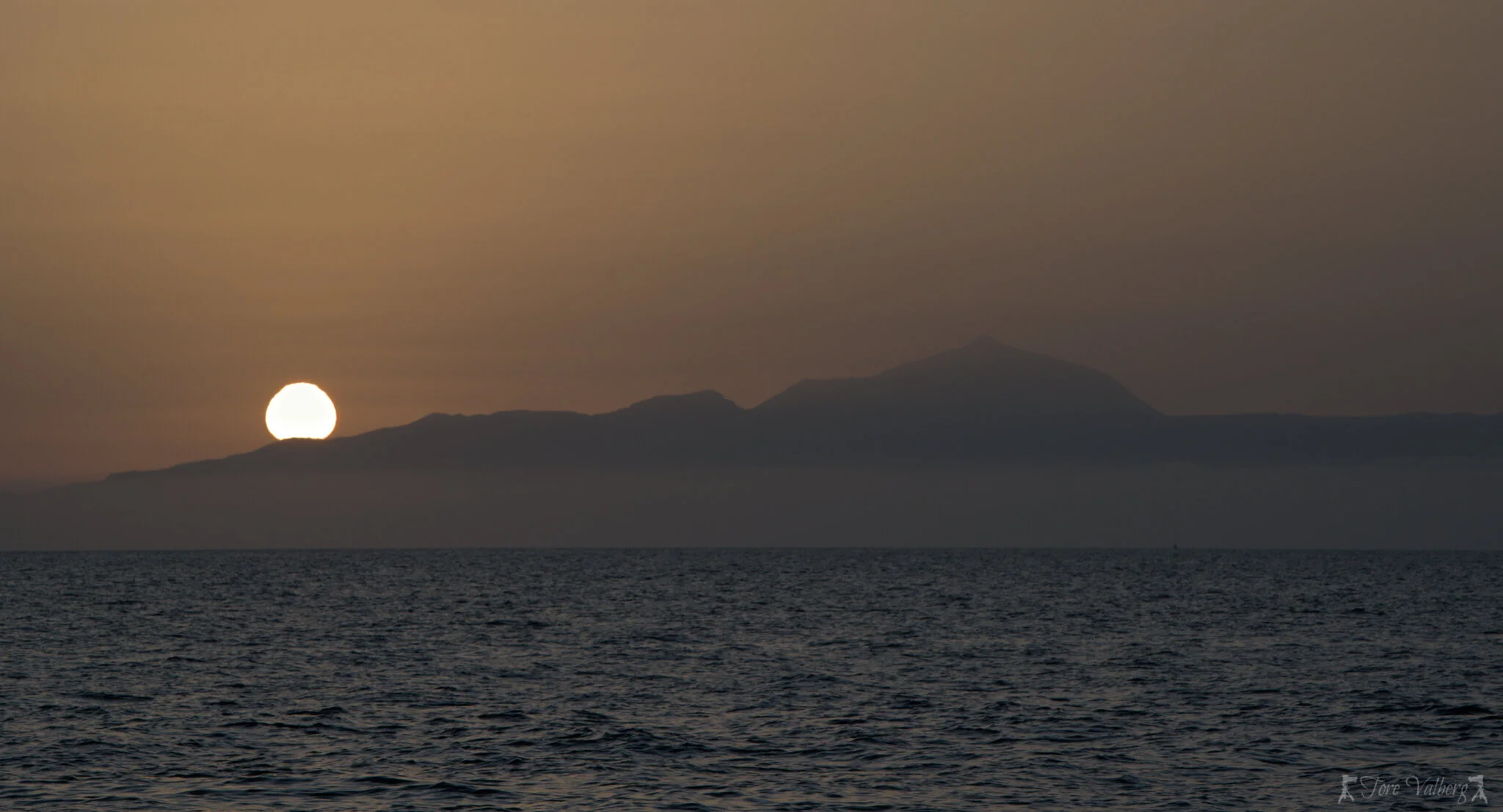 DSC_8618.jpg
