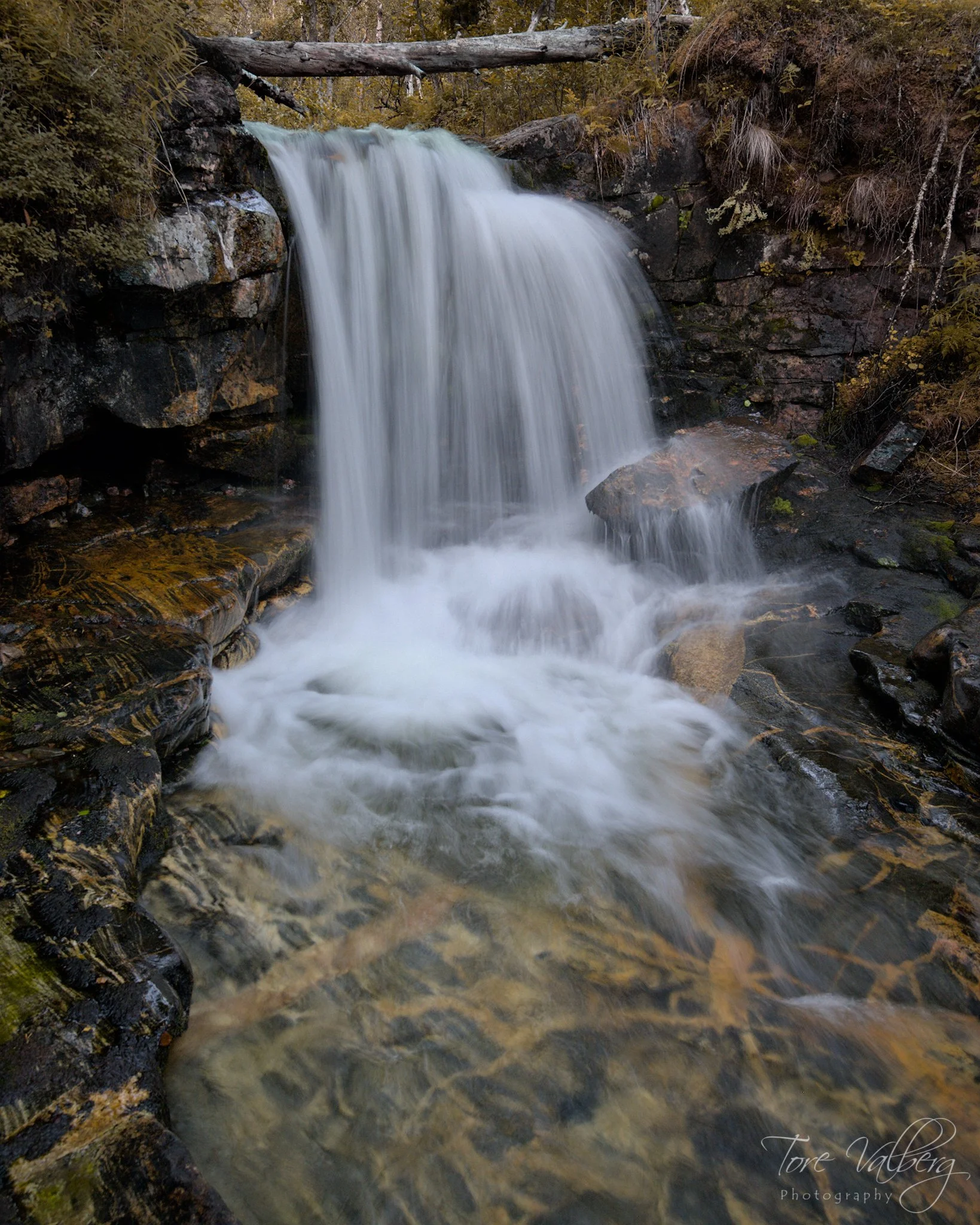 DSC_1519.jpg