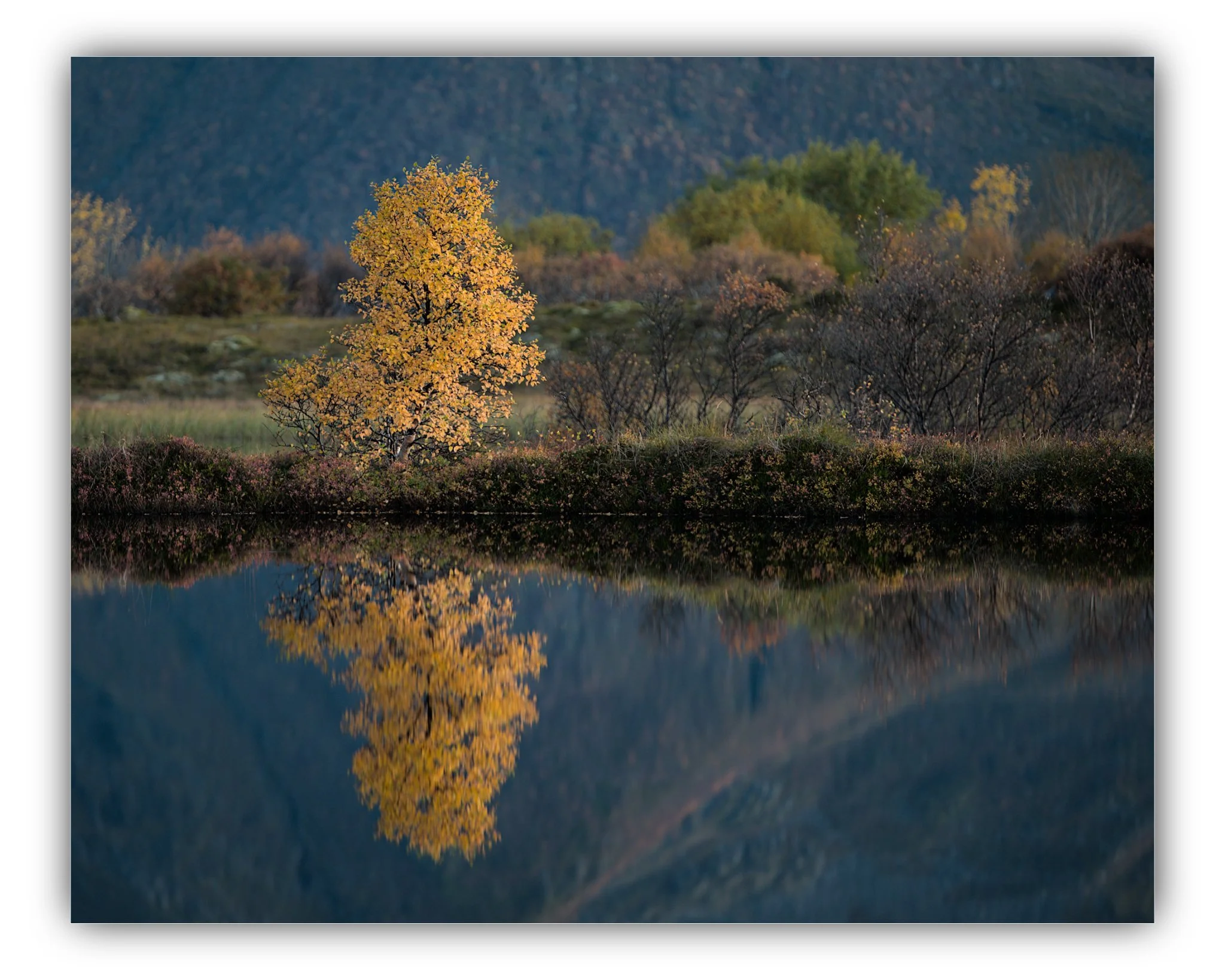 DSC_0067.jpg