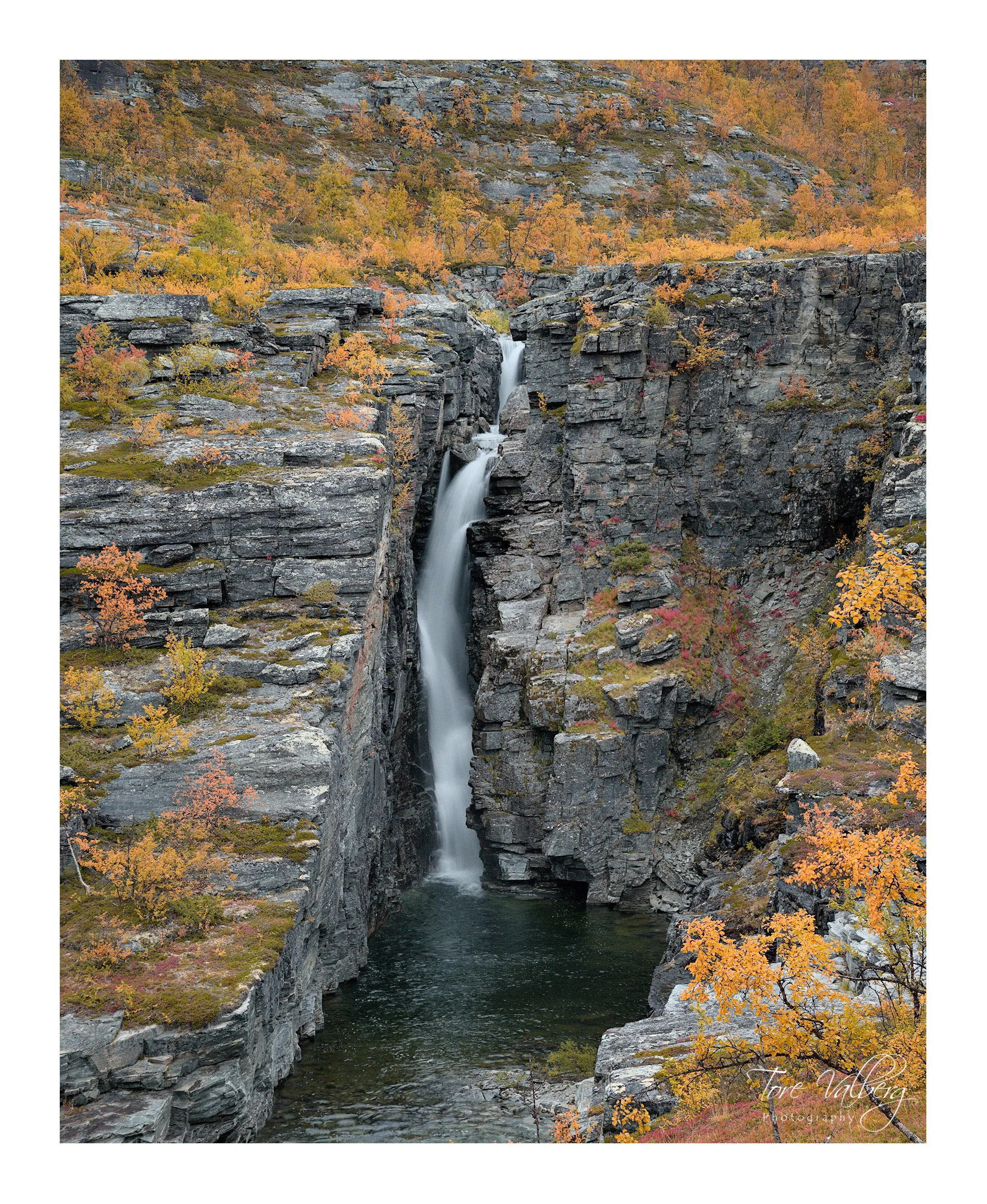 DSC_0617.jpg
