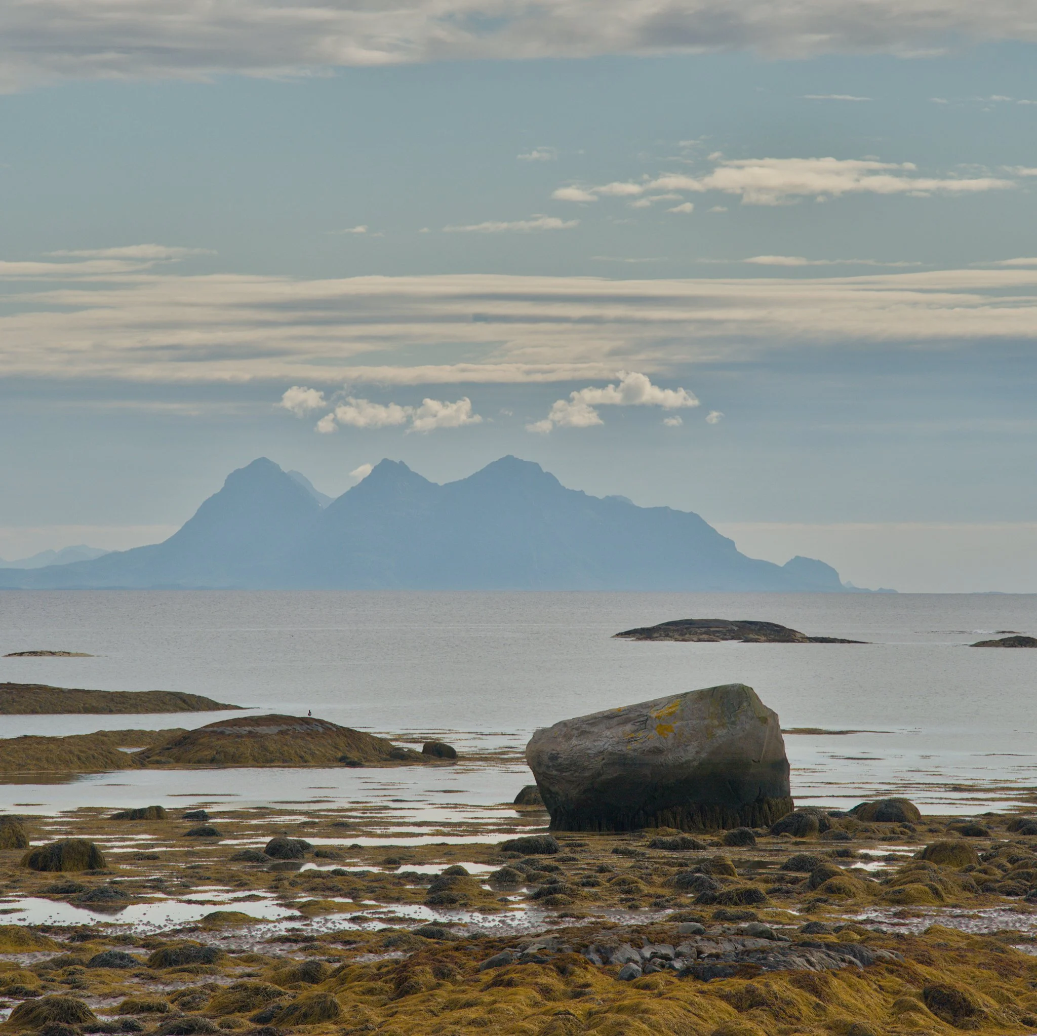 DSC_0471.jpg