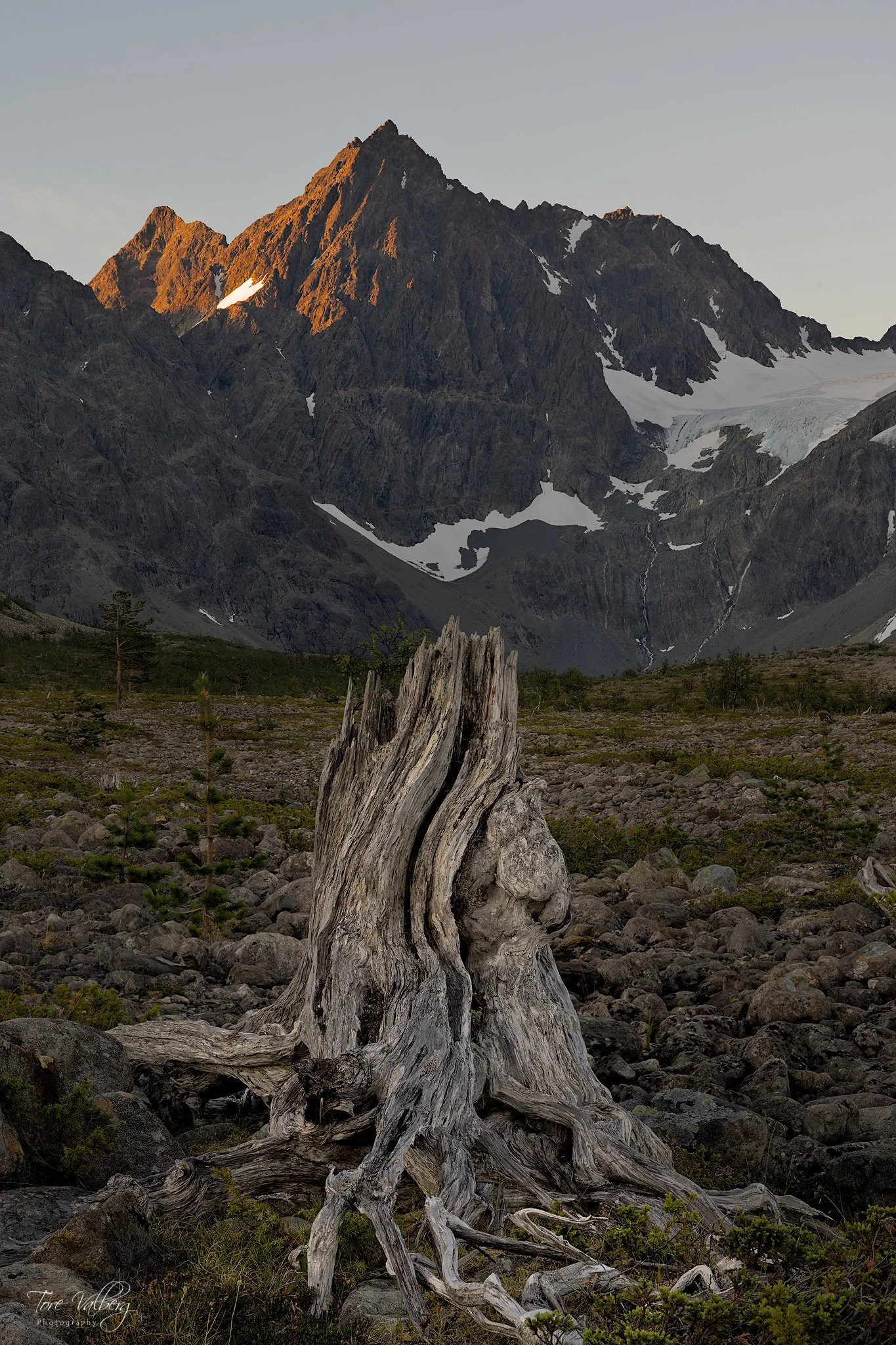DSC_1148-48_focusmerge.jpg