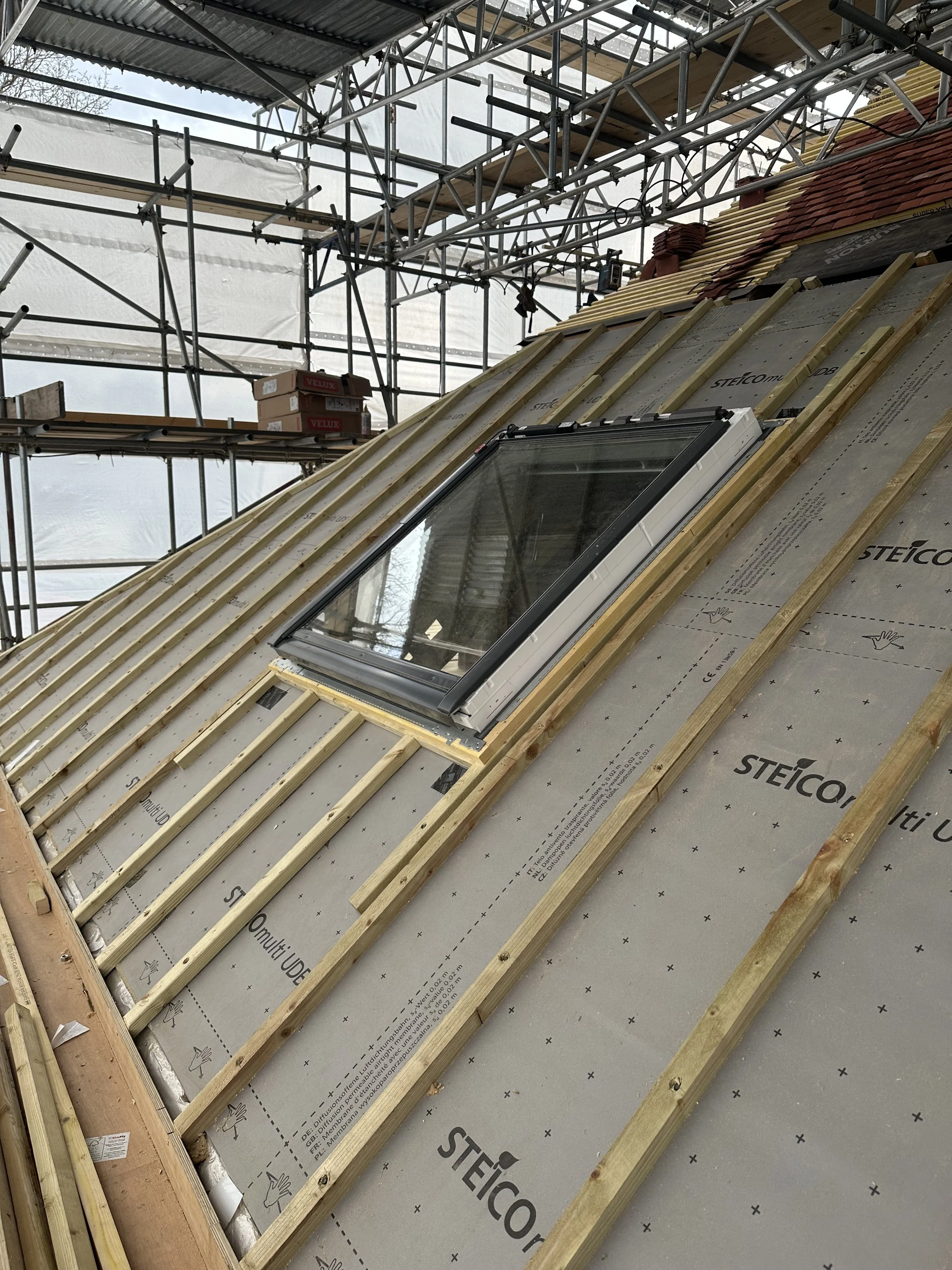 260325 roof 11.jpeg