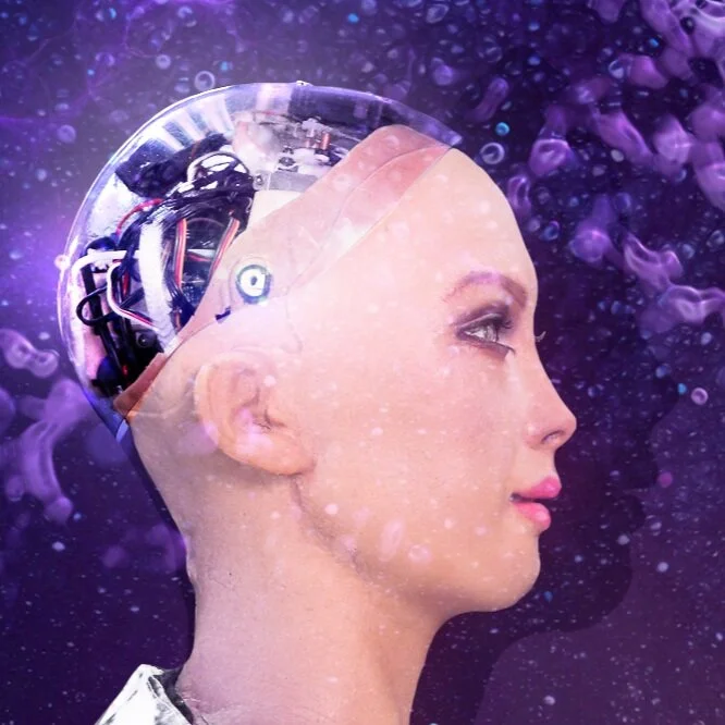 Sophia the Robot