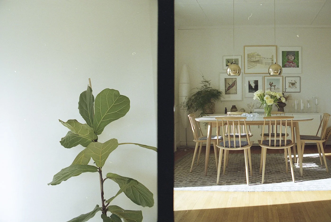 Yashica X30_21_060.jpg