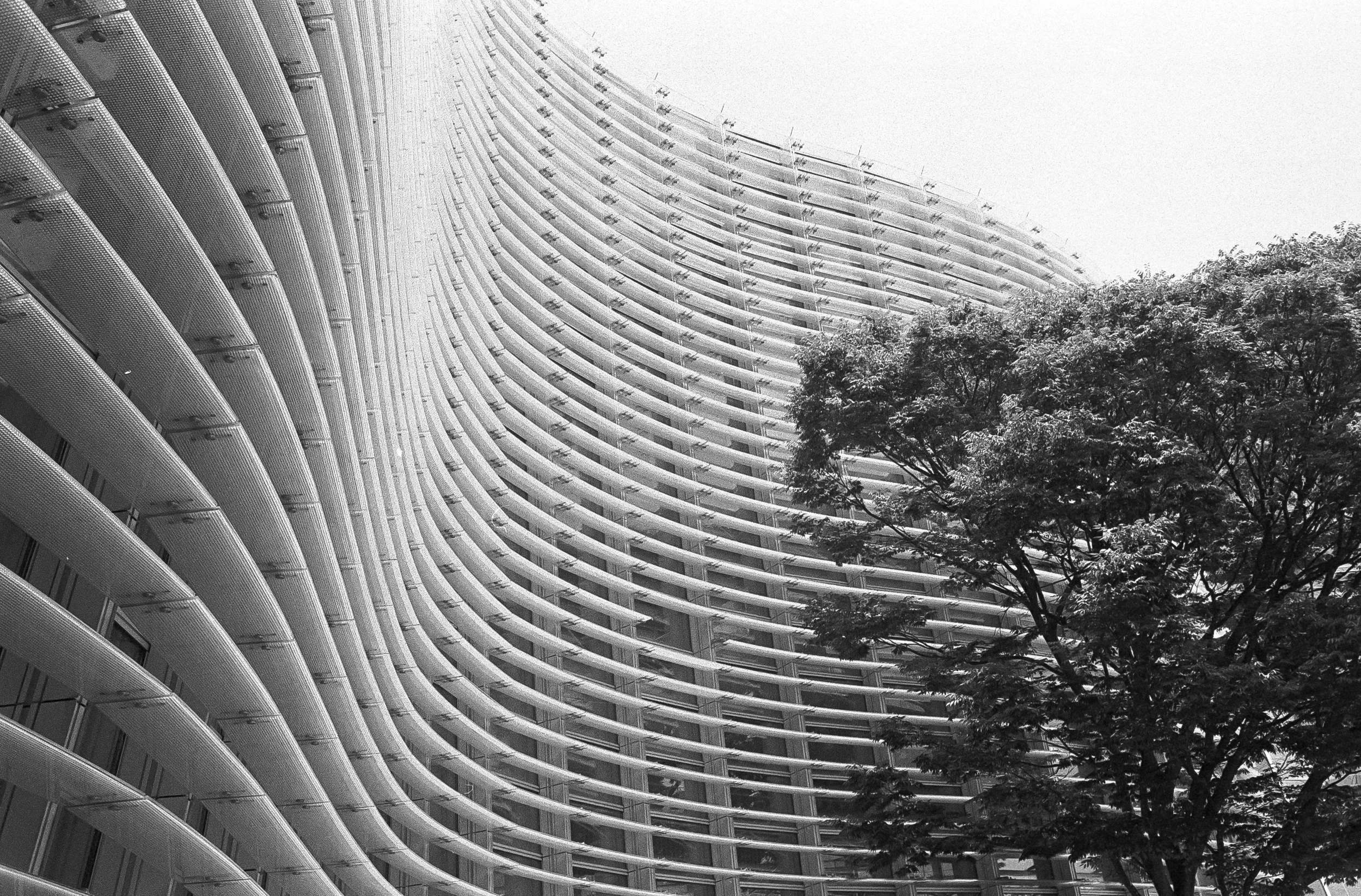 AU_hi_Leica M6_26_490.jpg