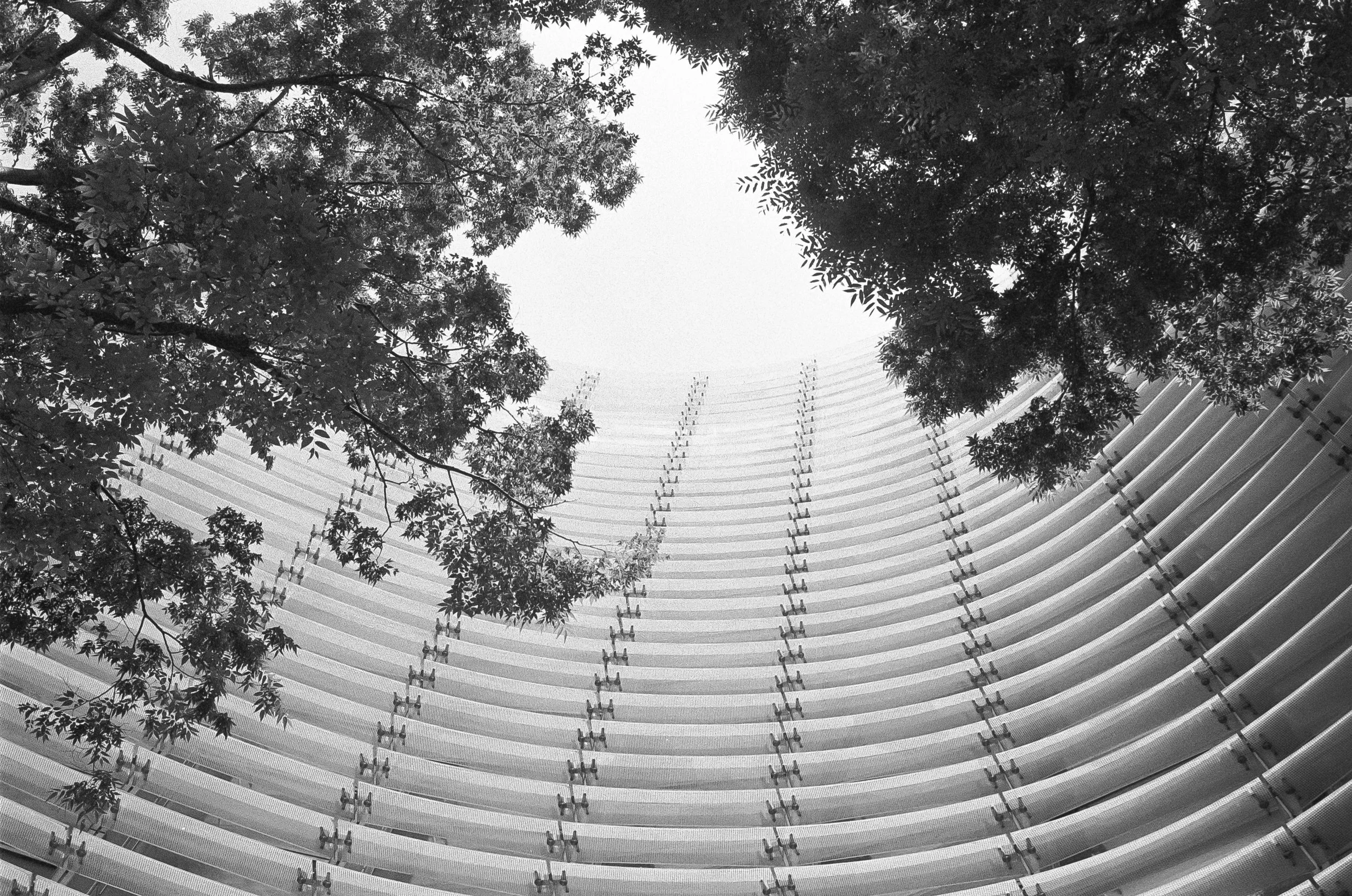 AU_hi_Leica M6_26_486.jpg