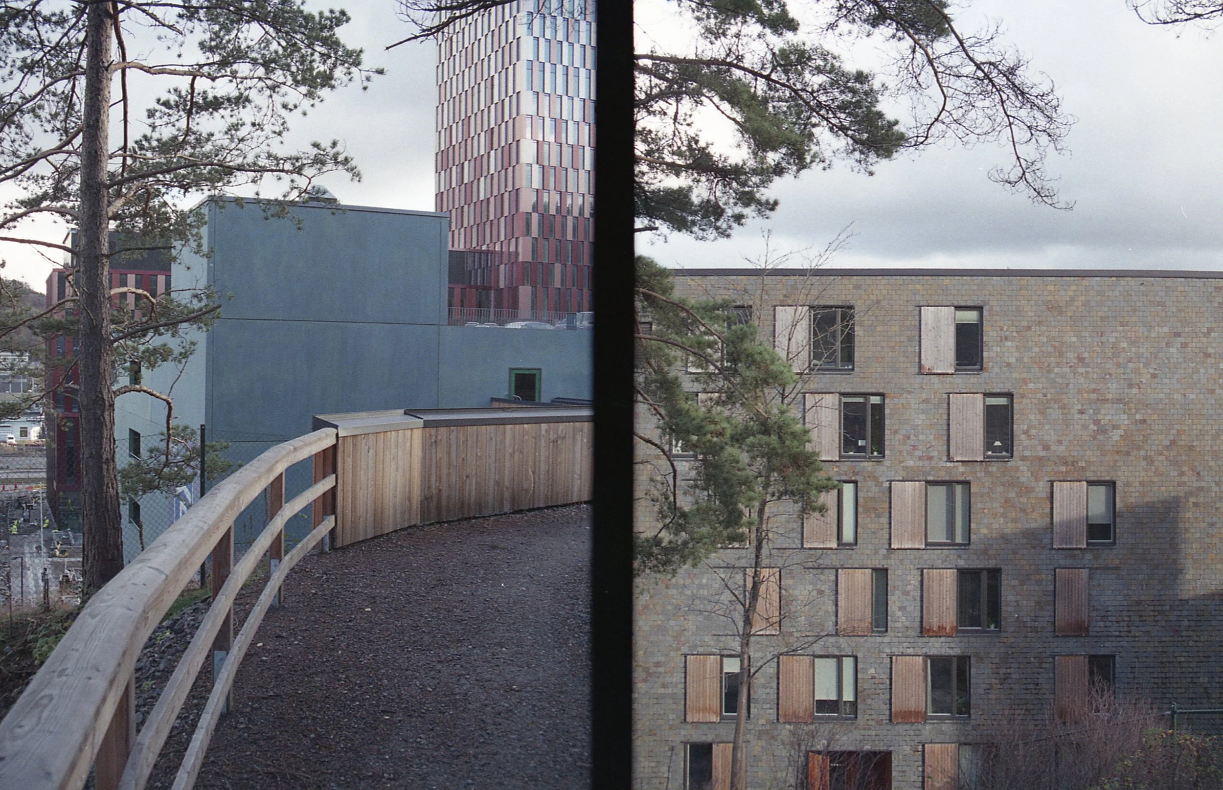 Yashica X30_20_hot_20_024.jpg