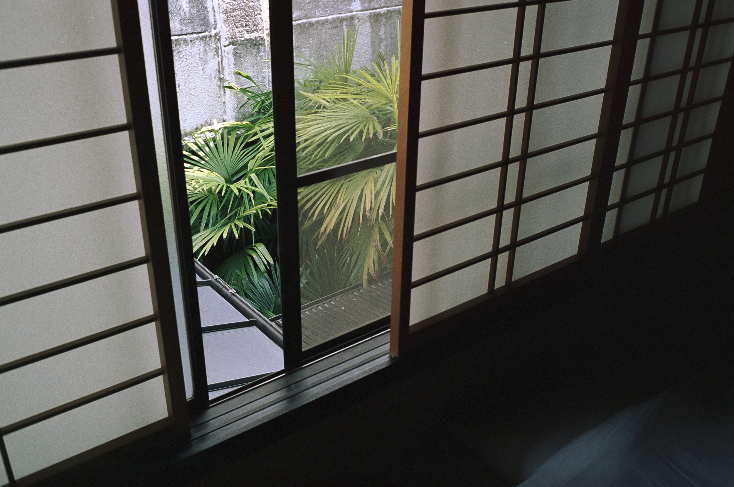 AU_hi_Leica M6_26_367.jpg