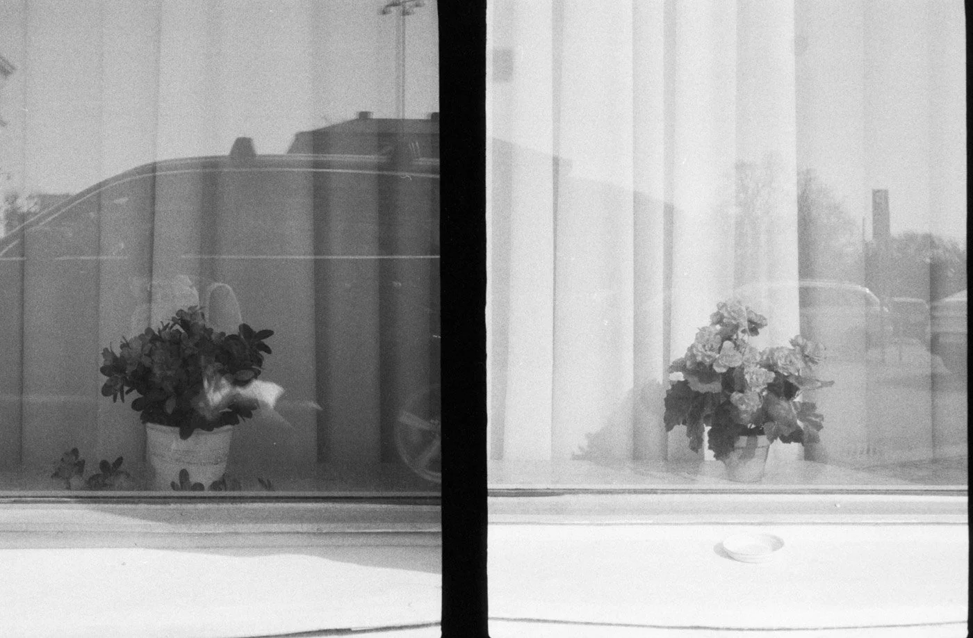 AU_1400_Fujuca Half_24_006.JPG