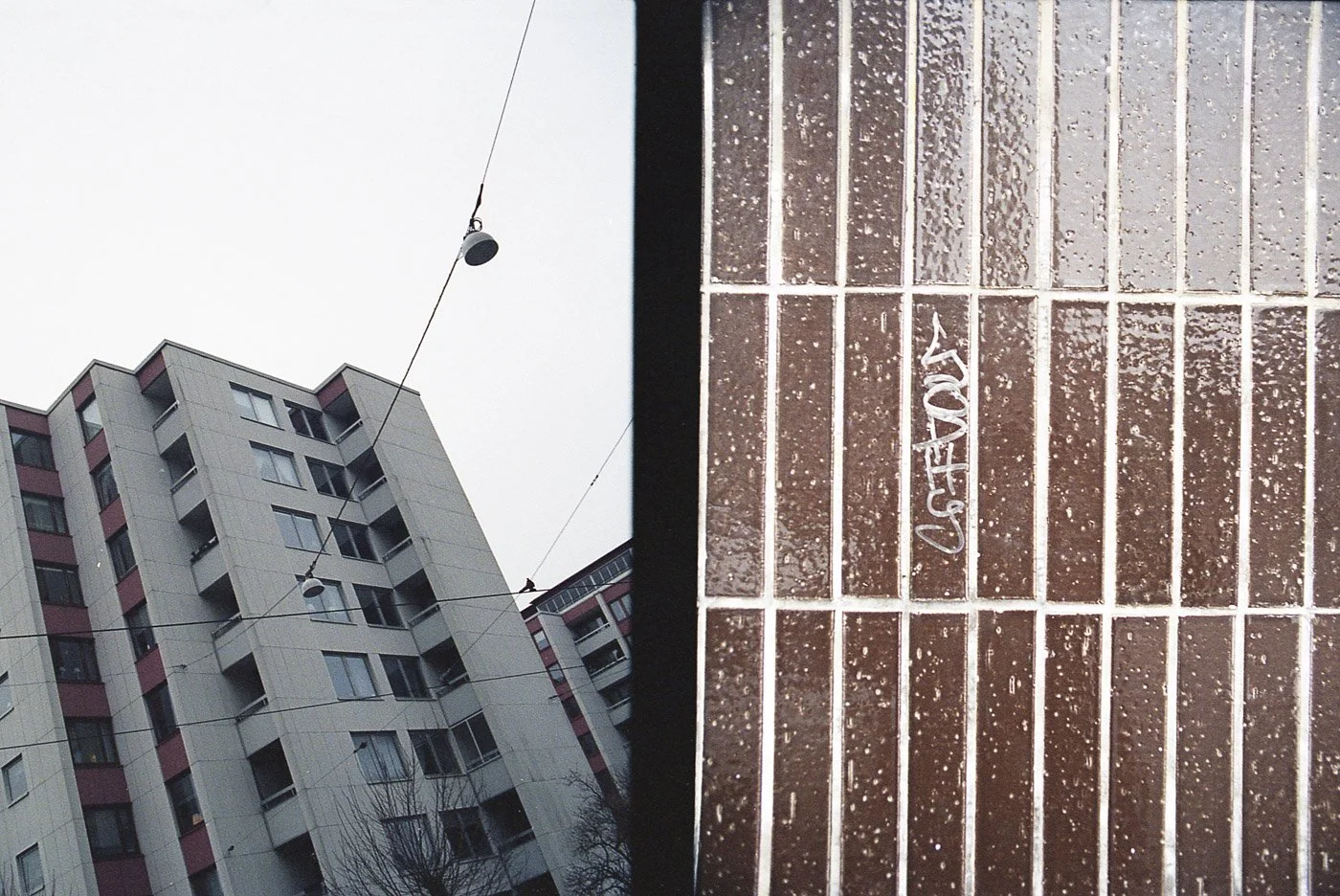 Yashica X30_21_035.jpg