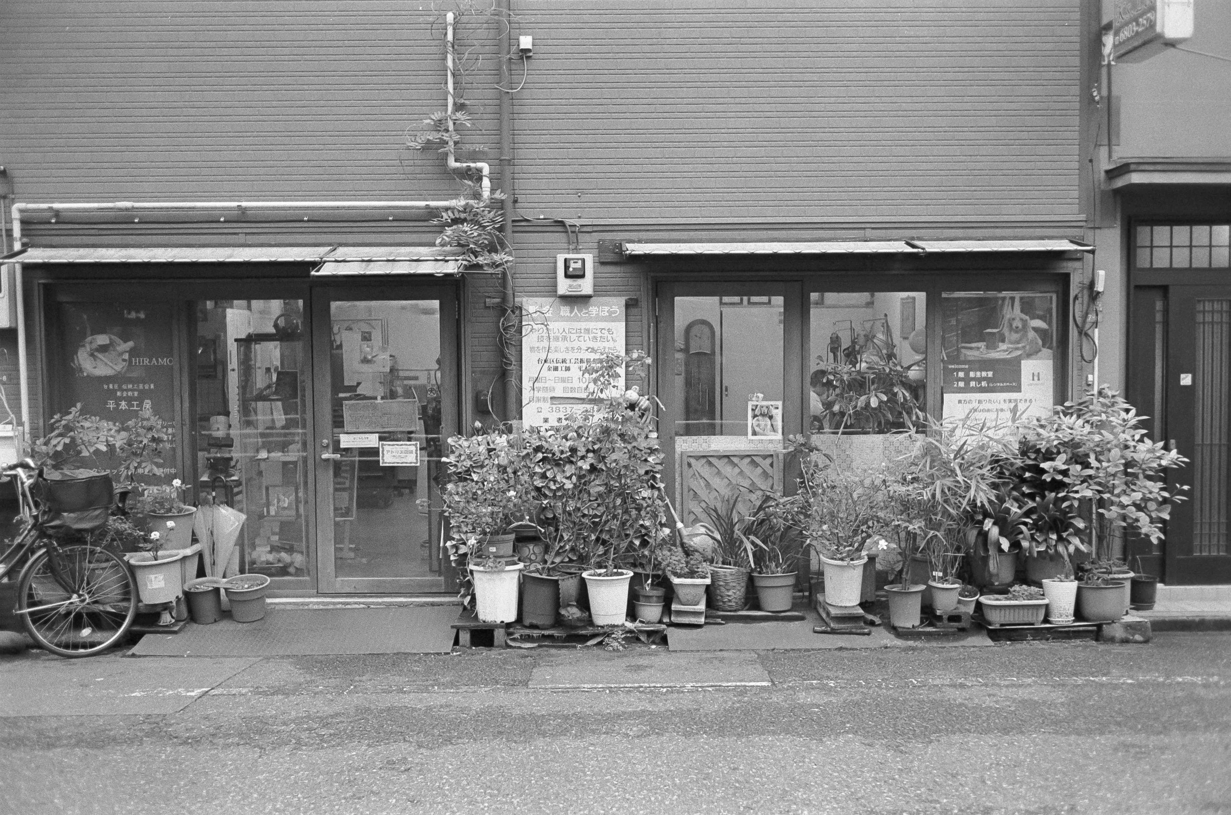 AU_hi_Leica M6_26_220.jpg