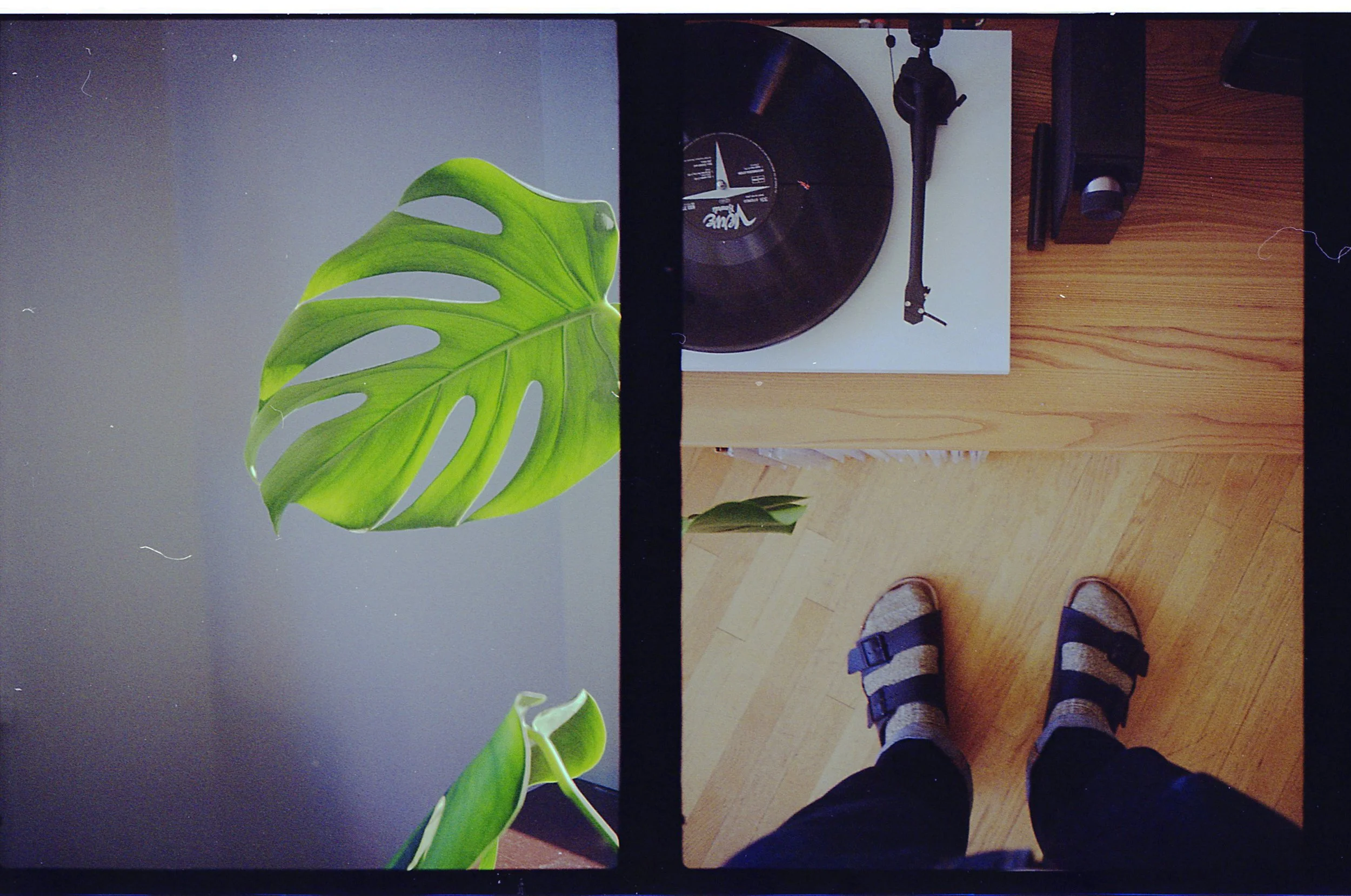 Fujica Half_20_095.jpg