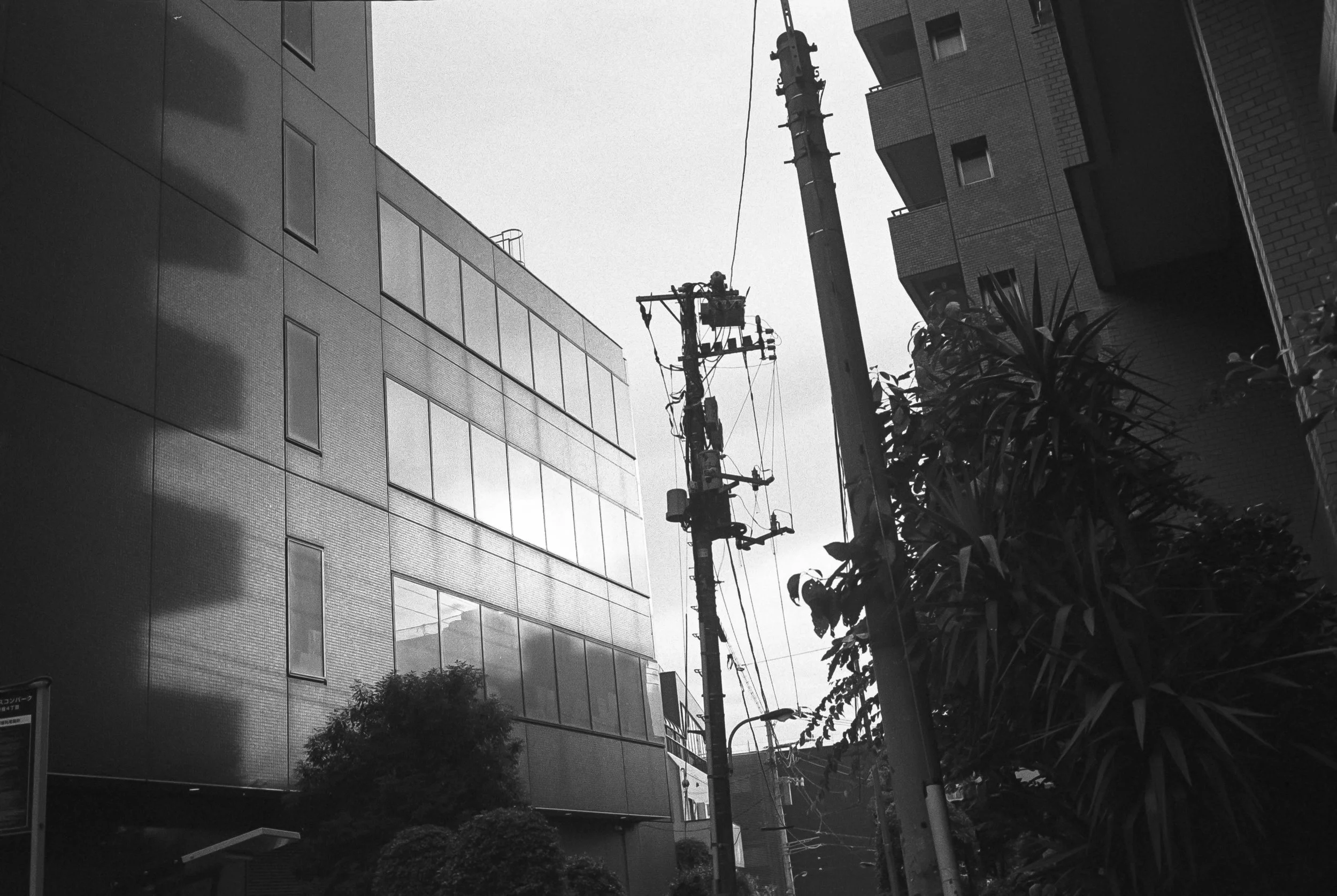 AU_hi_Leica M6_26_471.jpg